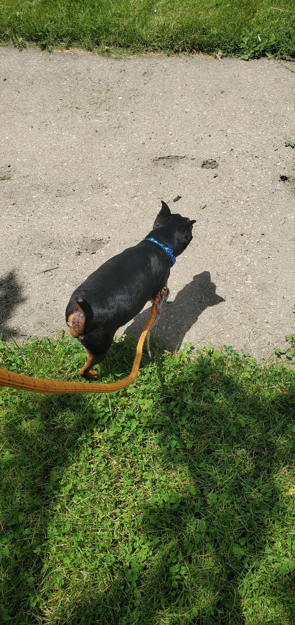 Levin (John) Park - Chicago, IL