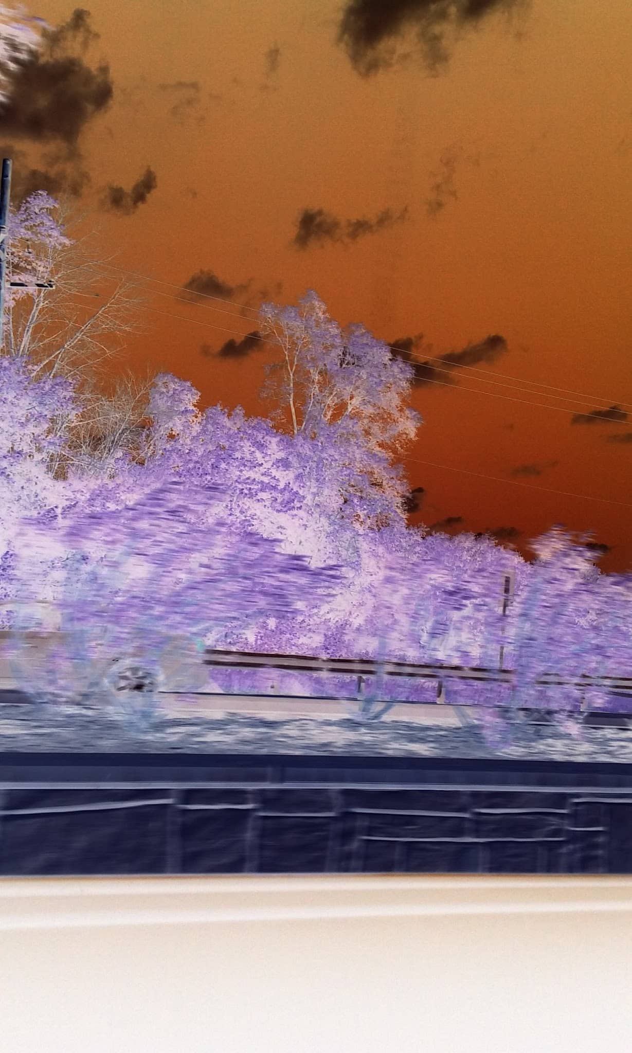 Magnolia Park - Chicago, IL