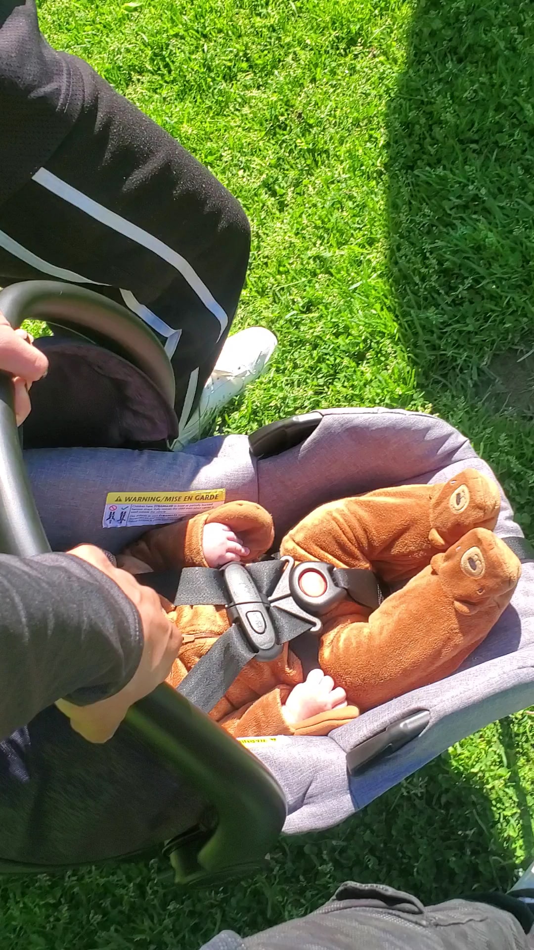 McKinley Dog Park - Chicago, IL