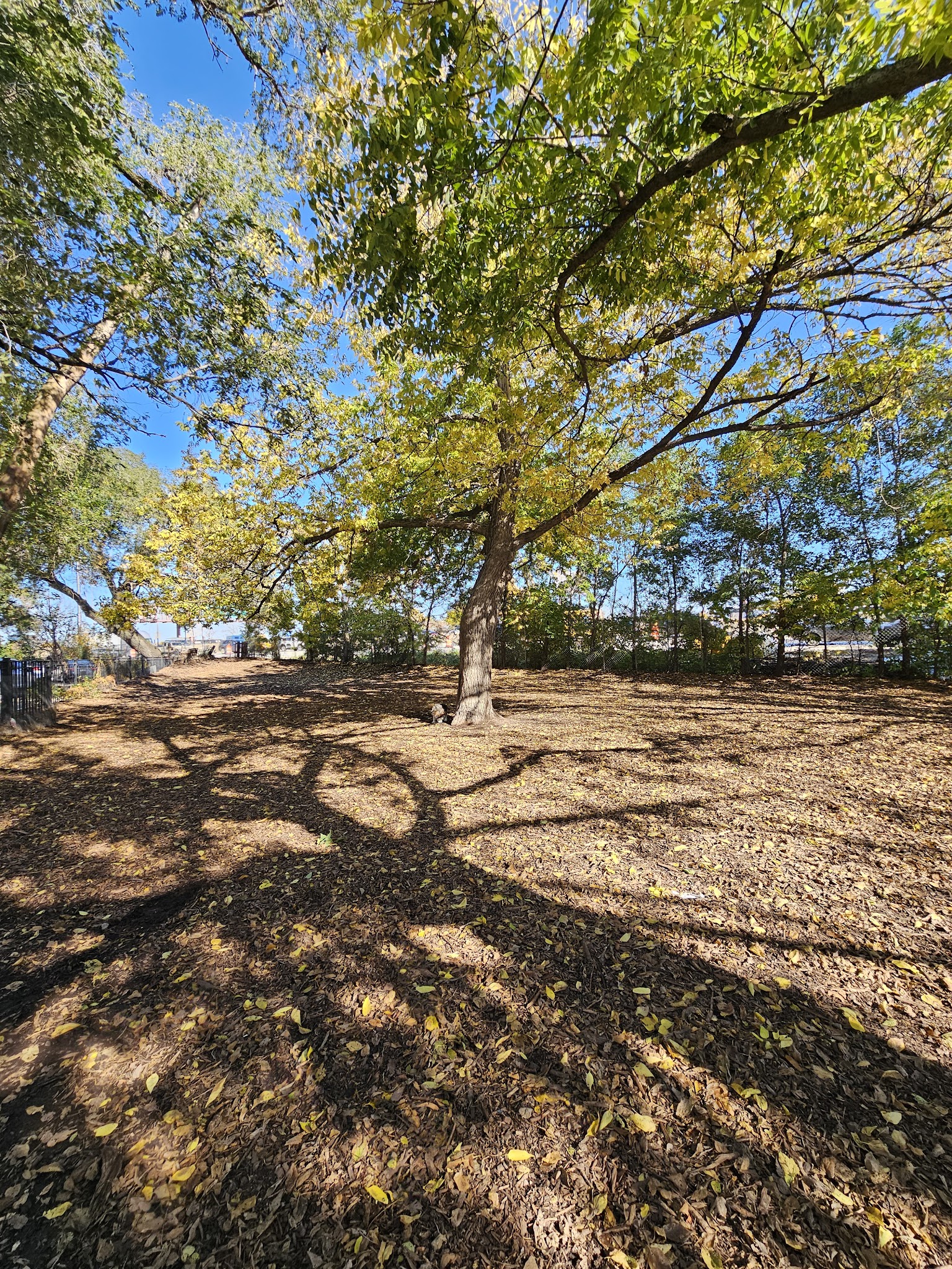 Park #536 - Chicago, IL