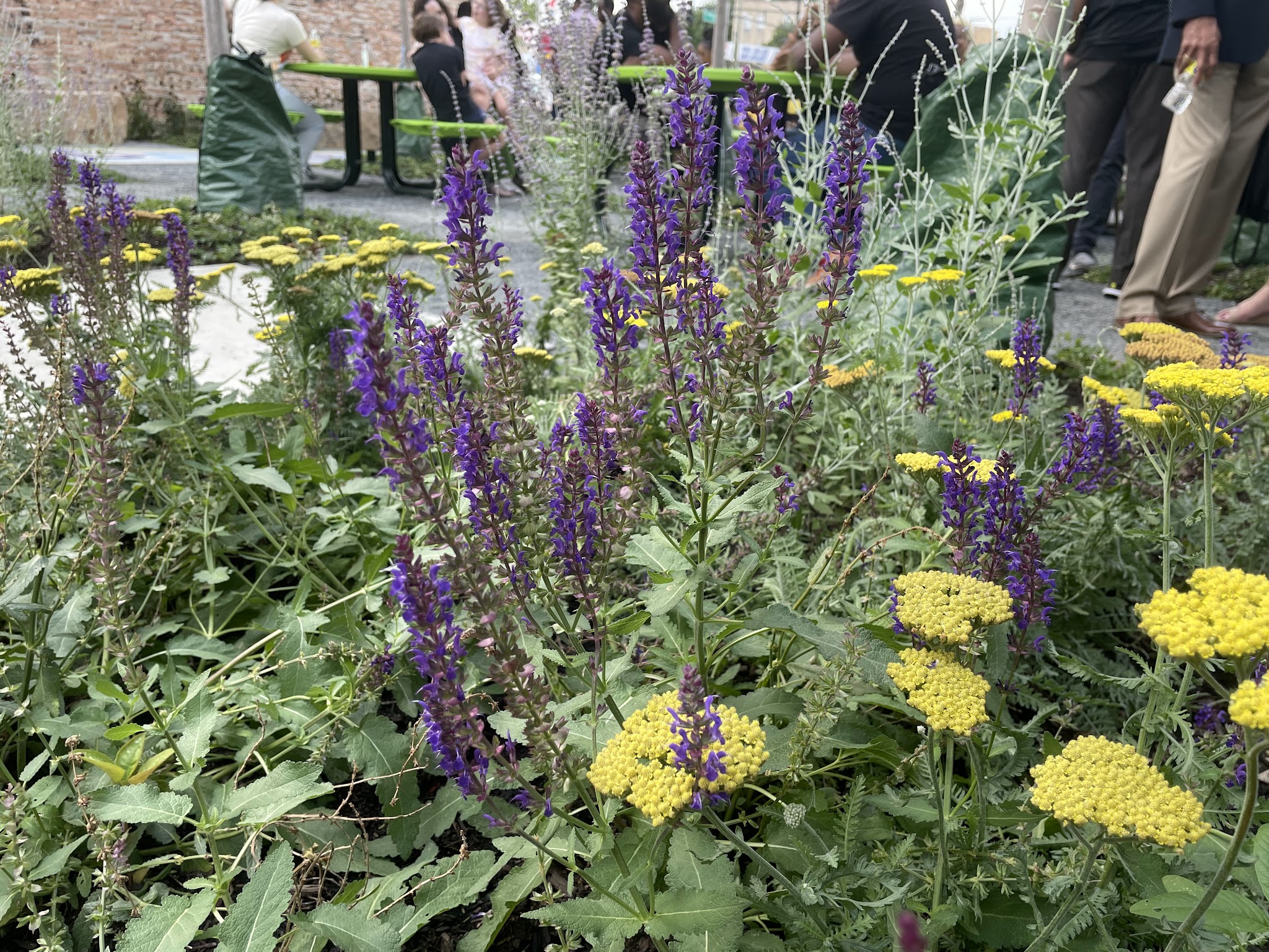 POPGrove! Community Plaza - Chicago, IL