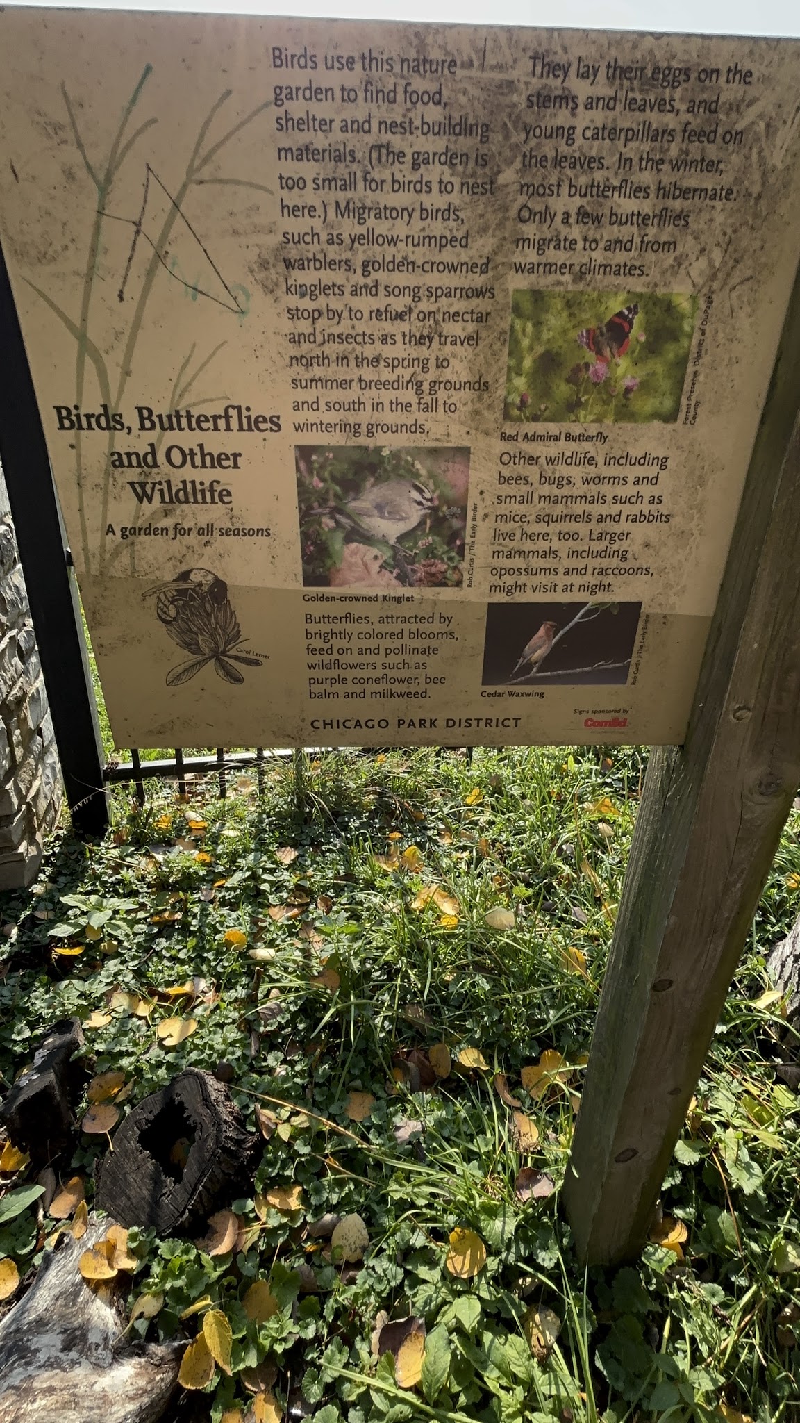 Prospect Gardens Park - Chicago, IL