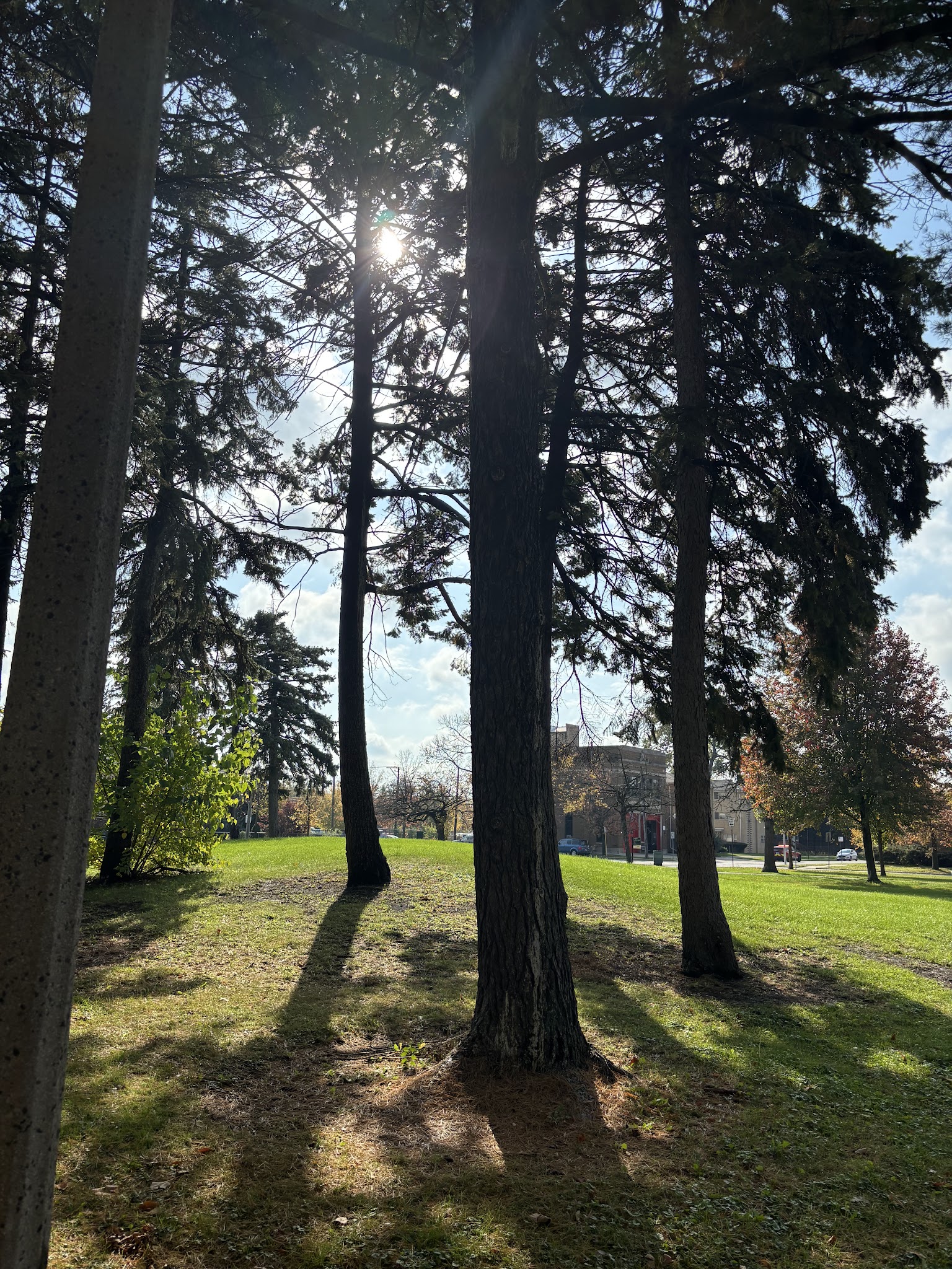 Prospect Gardens Park - Chicago, IL