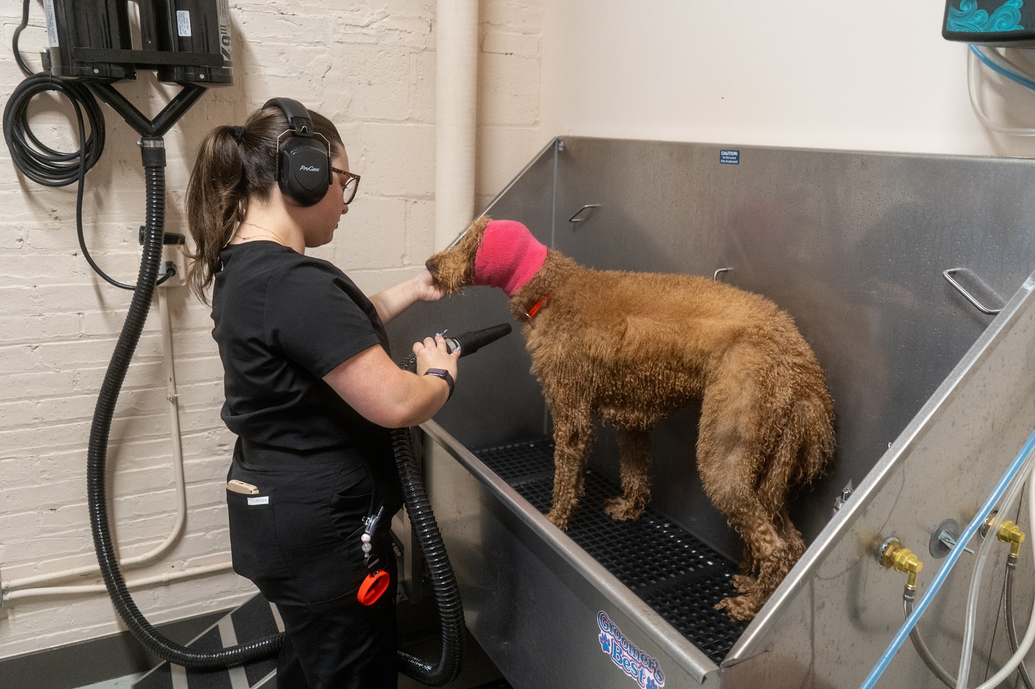Pup Social - Chicago, IL