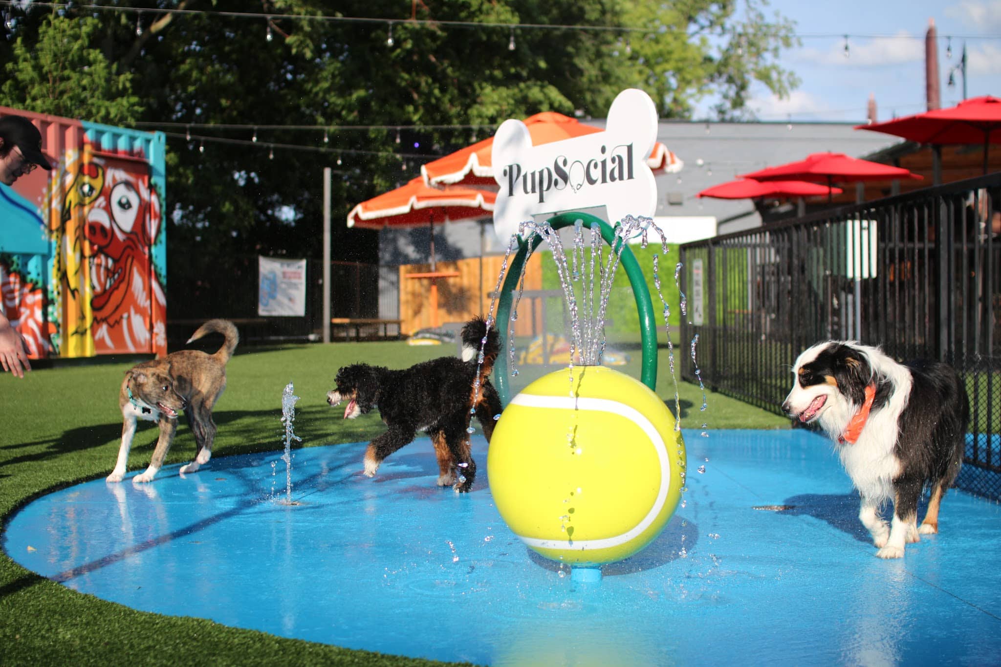 Pup Social - Chicago, IL