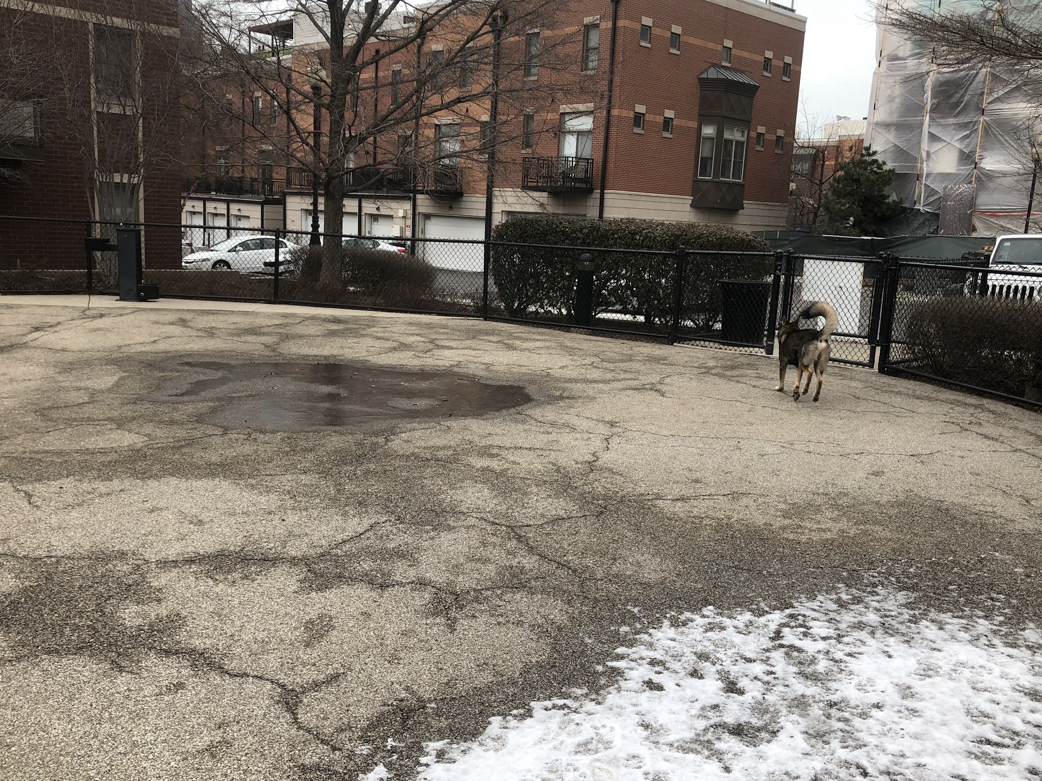 University Village Dog Park - Chicago, IL