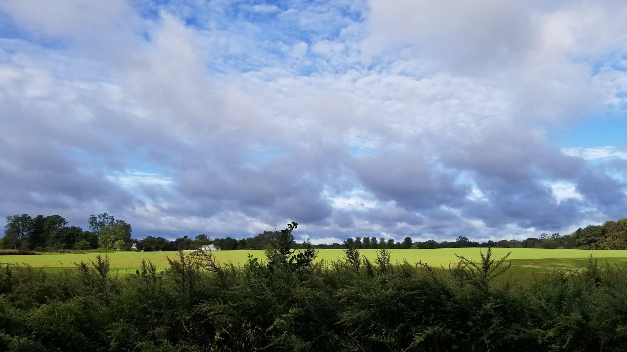 Dorbrook Recreation Area - Colts Neck, NJ