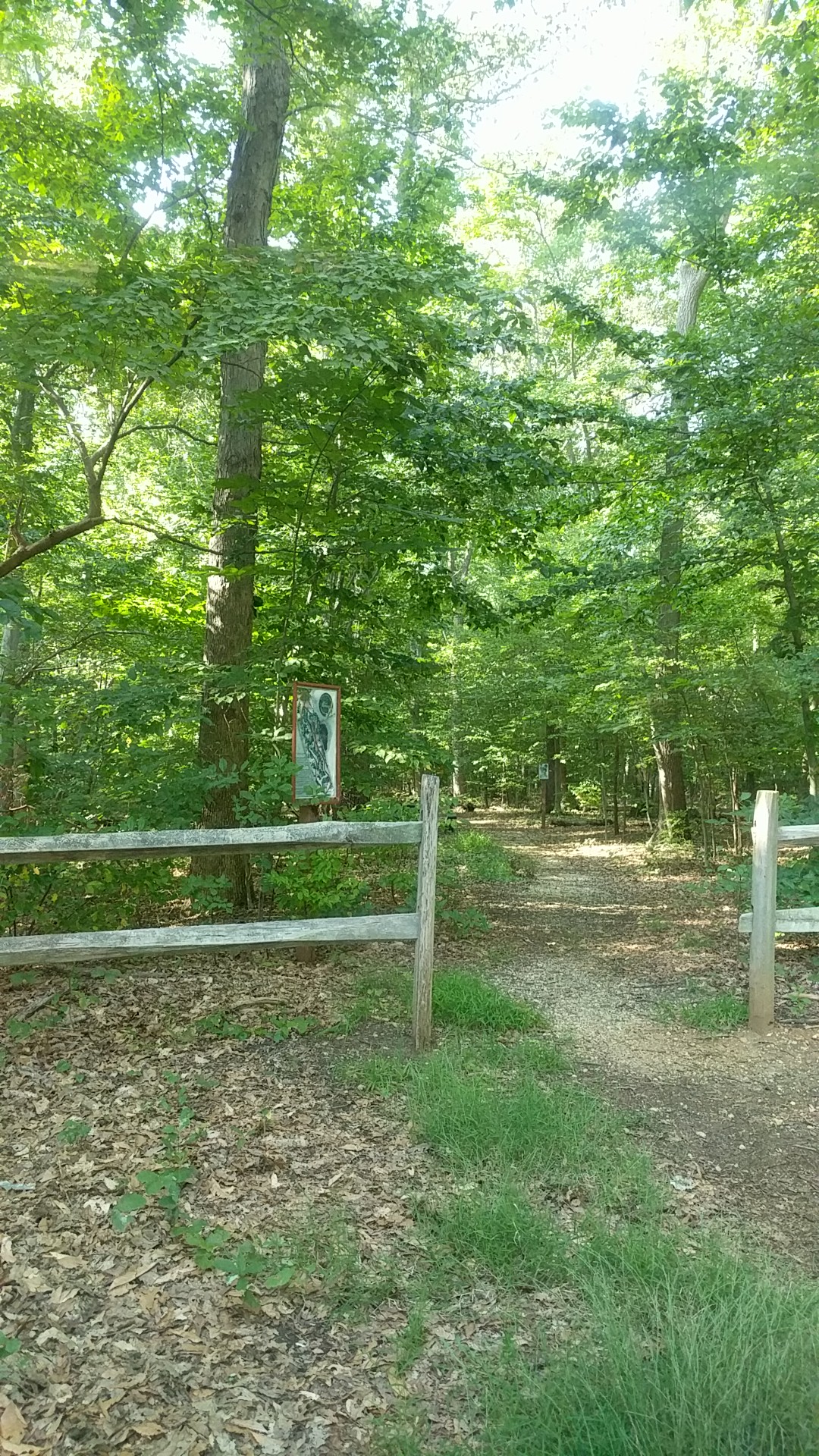 Schlesinger Preserve - Colts Neck, NJ