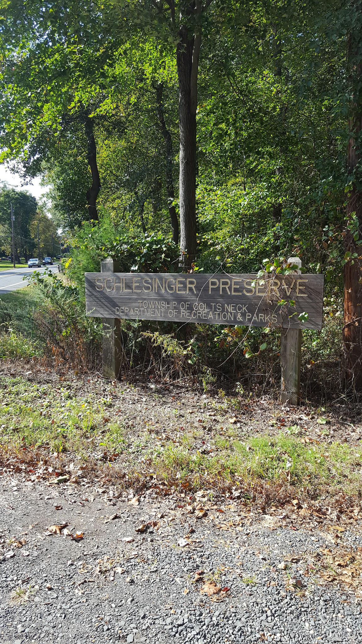Schlesinger Preserve - Colts Neck, NJ