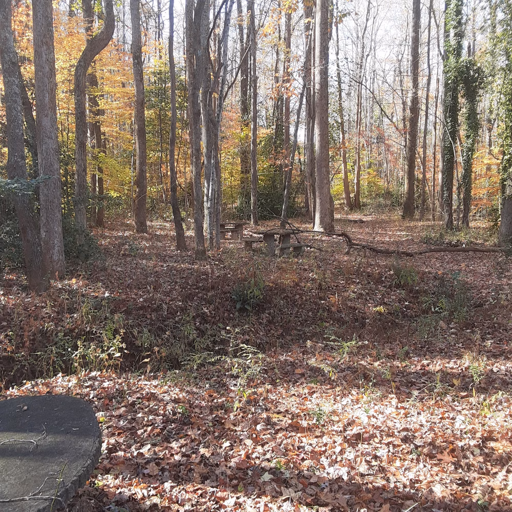 Gibson Park - Columbus, NC