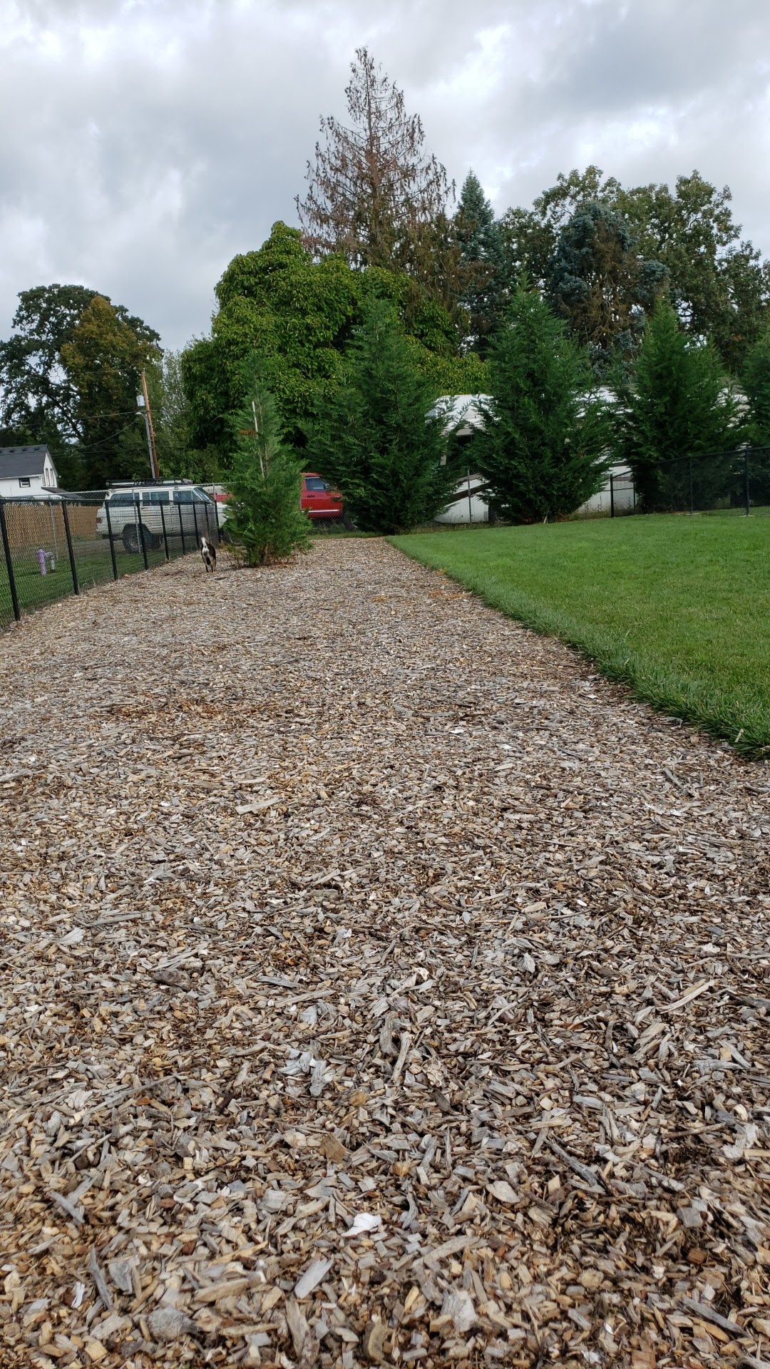 Cornelius Dog Park - Cornelius, OR