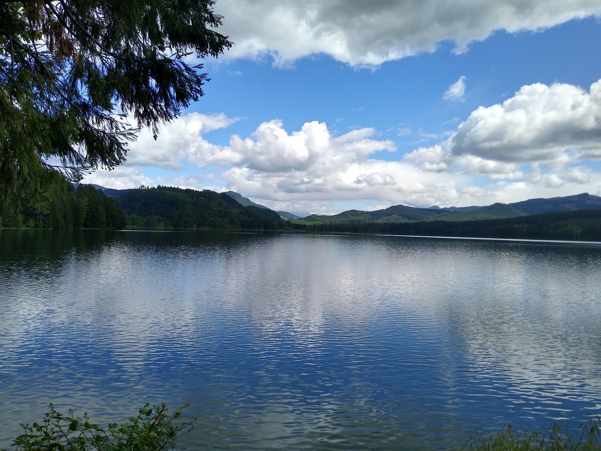 Mosby Creek Trailhead - Cottage Grove, OR