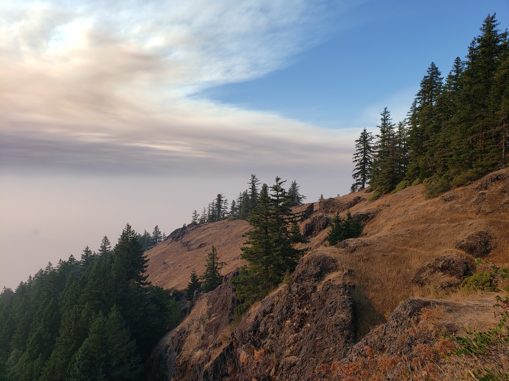 Mosby Creek Trailhead - Cottage Grove, OR
