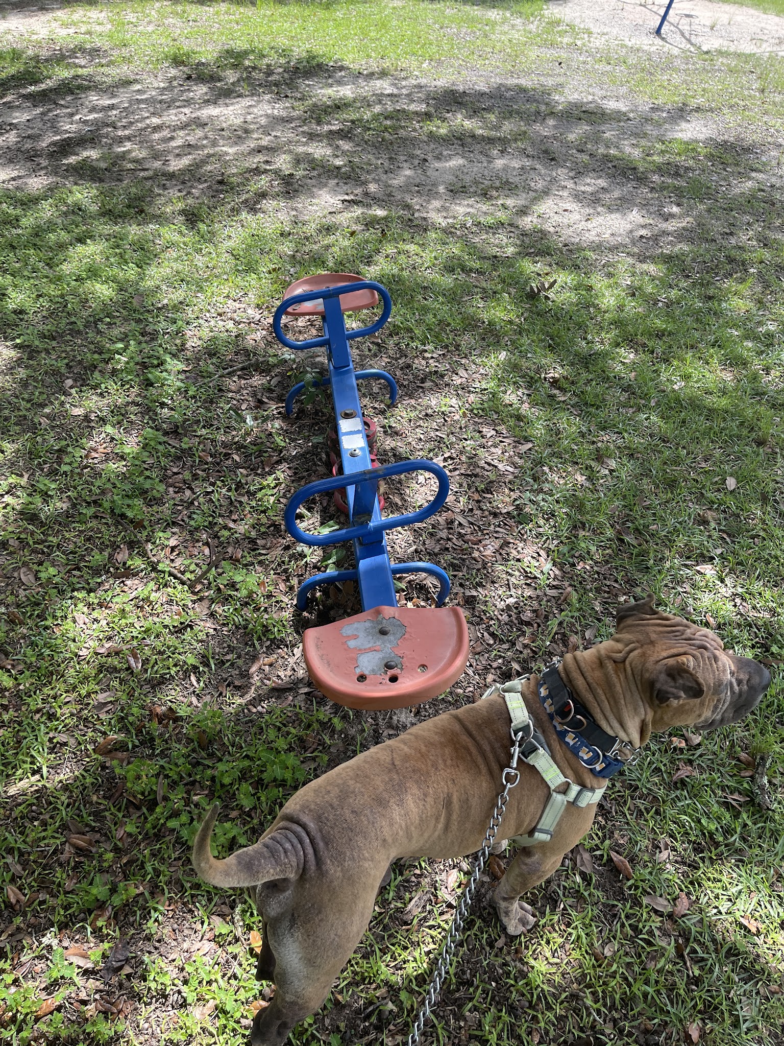 Creola City Park - Creola, AL