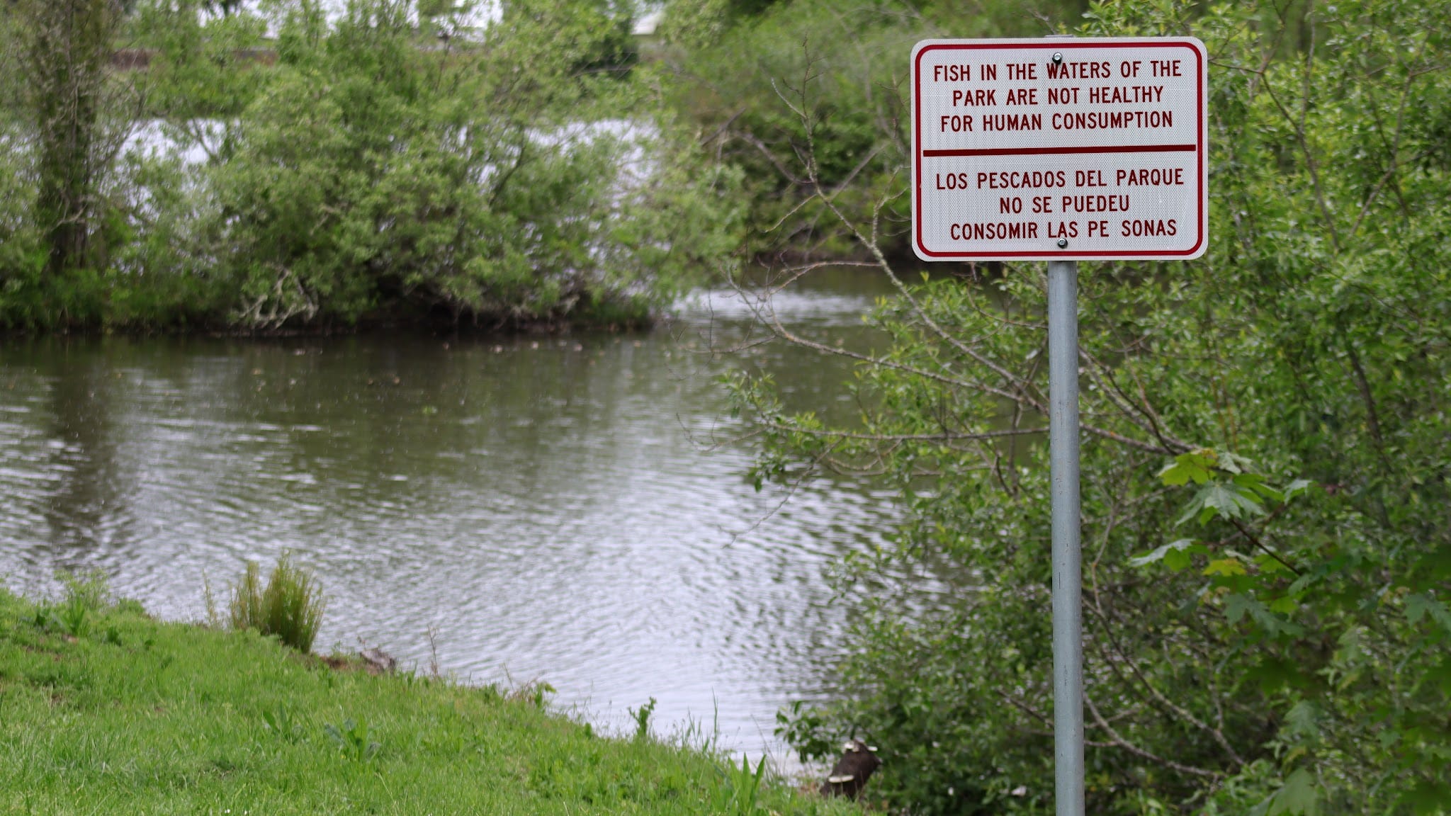Garden Lake - Creswell, OR