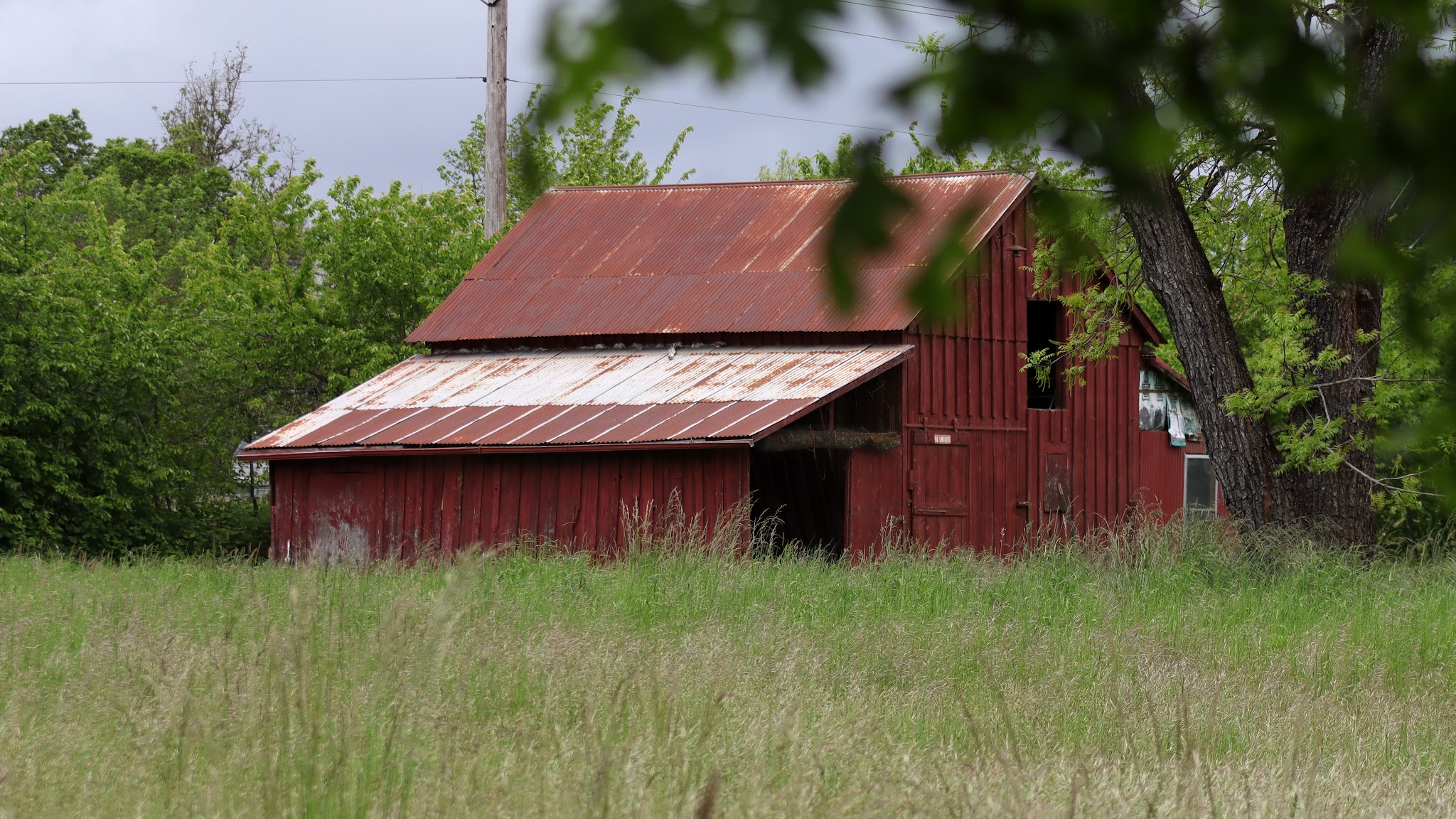 Garden Lake - Creswell, OR