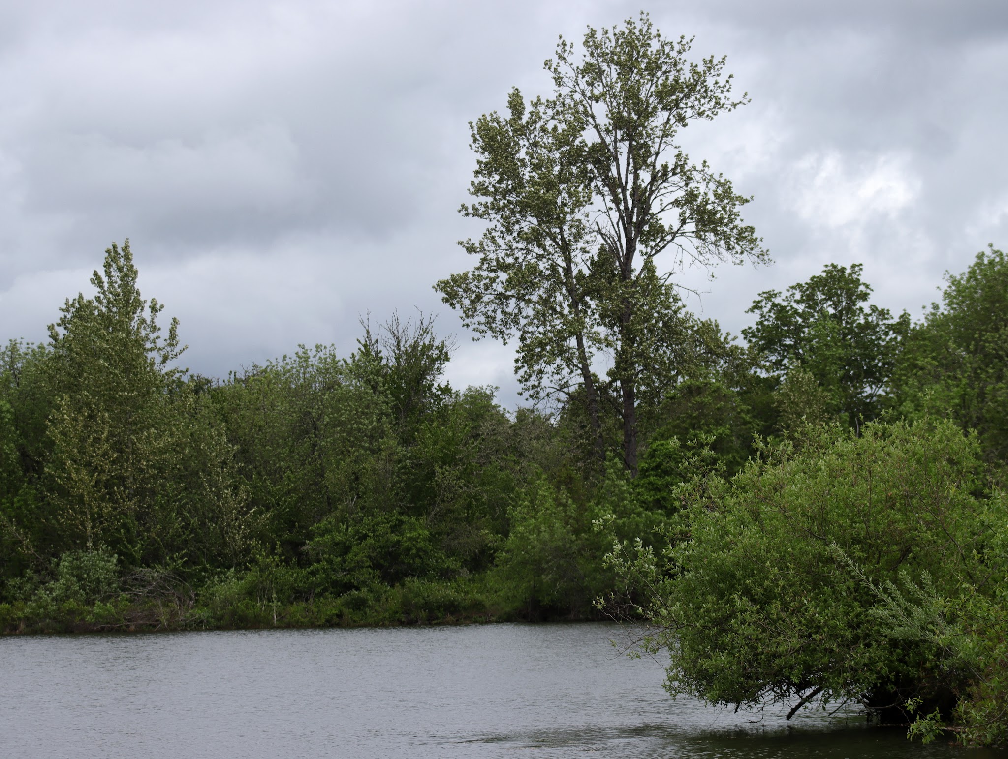Garden Lake - Creswell, OR