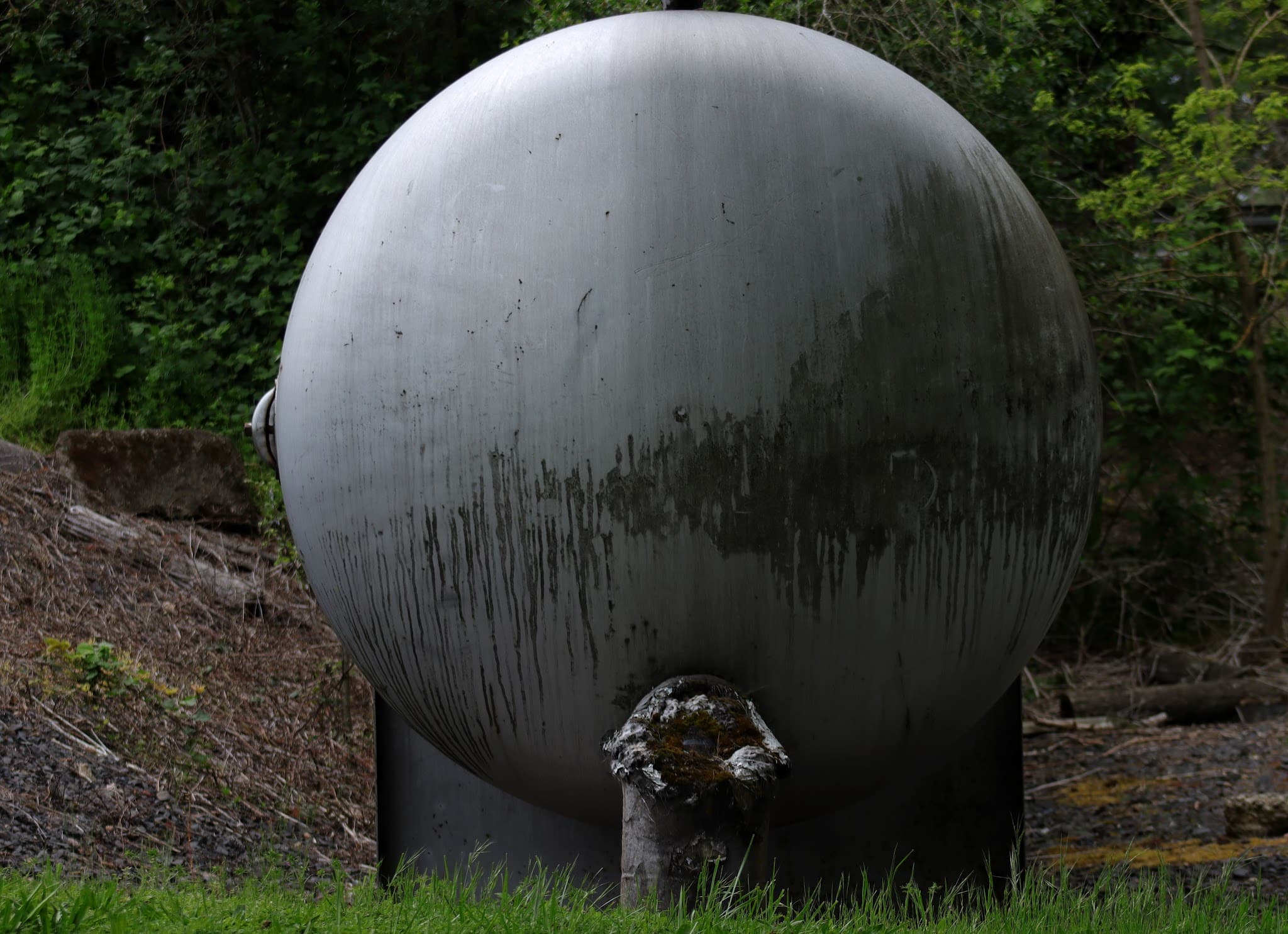 Garden Lake - Creswell, OR