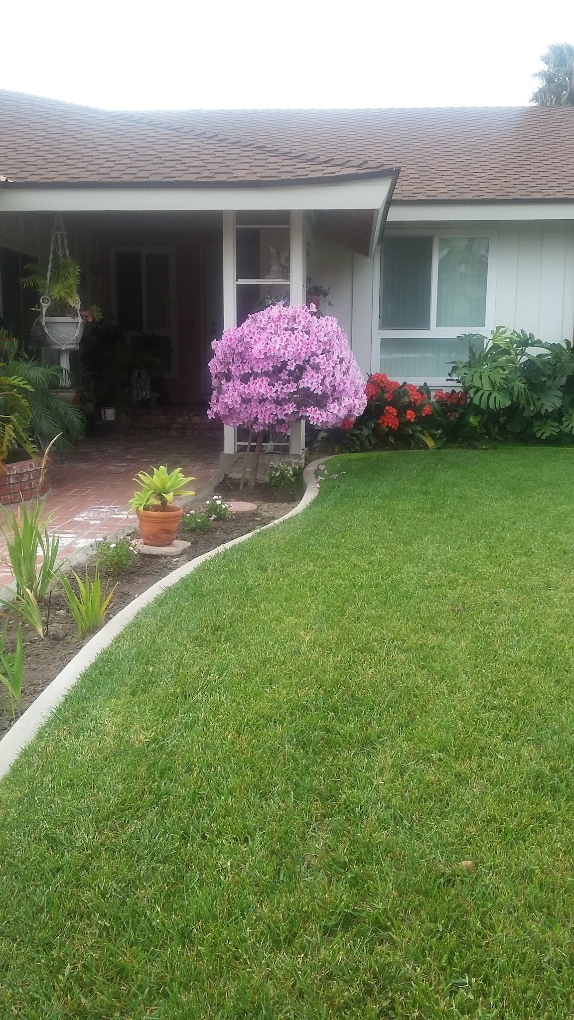 Laurel Park - Cypress, CA