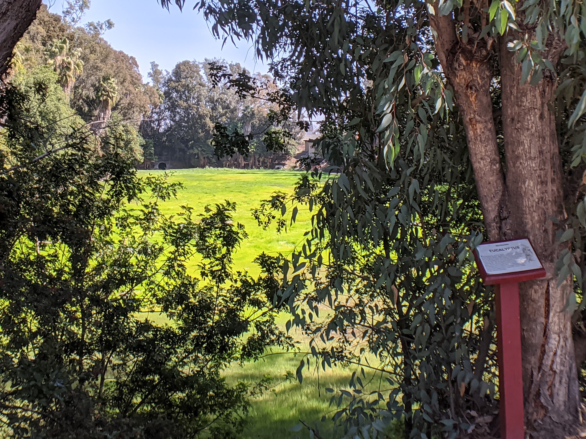 Nature Park - Cypress, CA