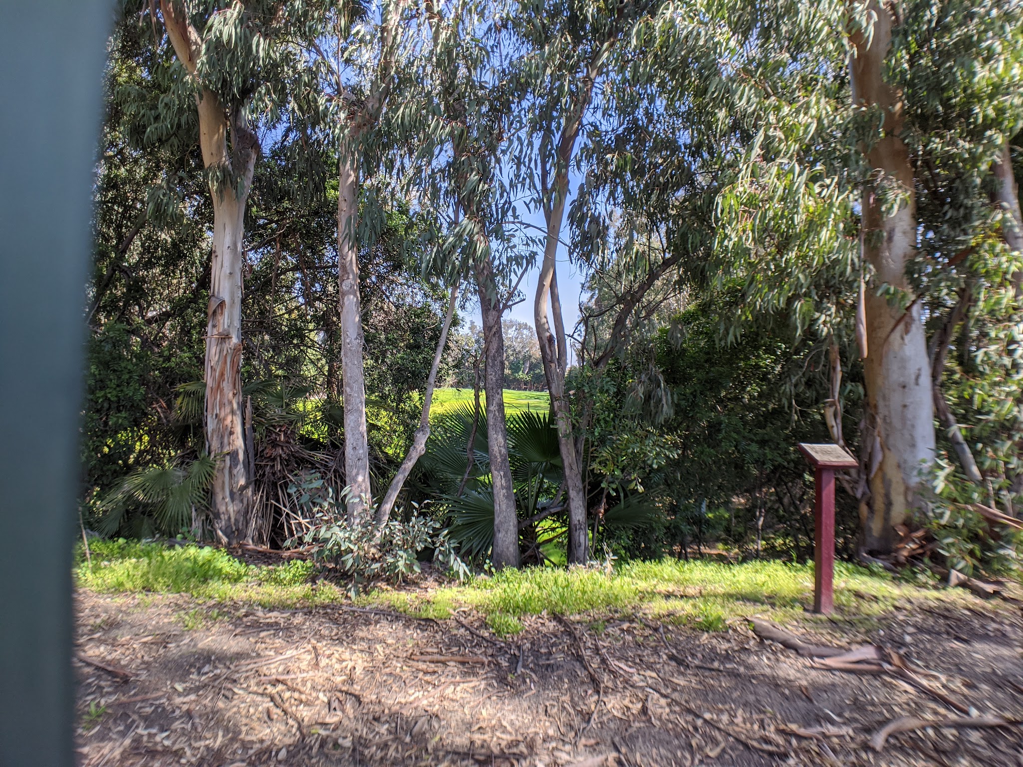 Nature Park - Cypress, CA