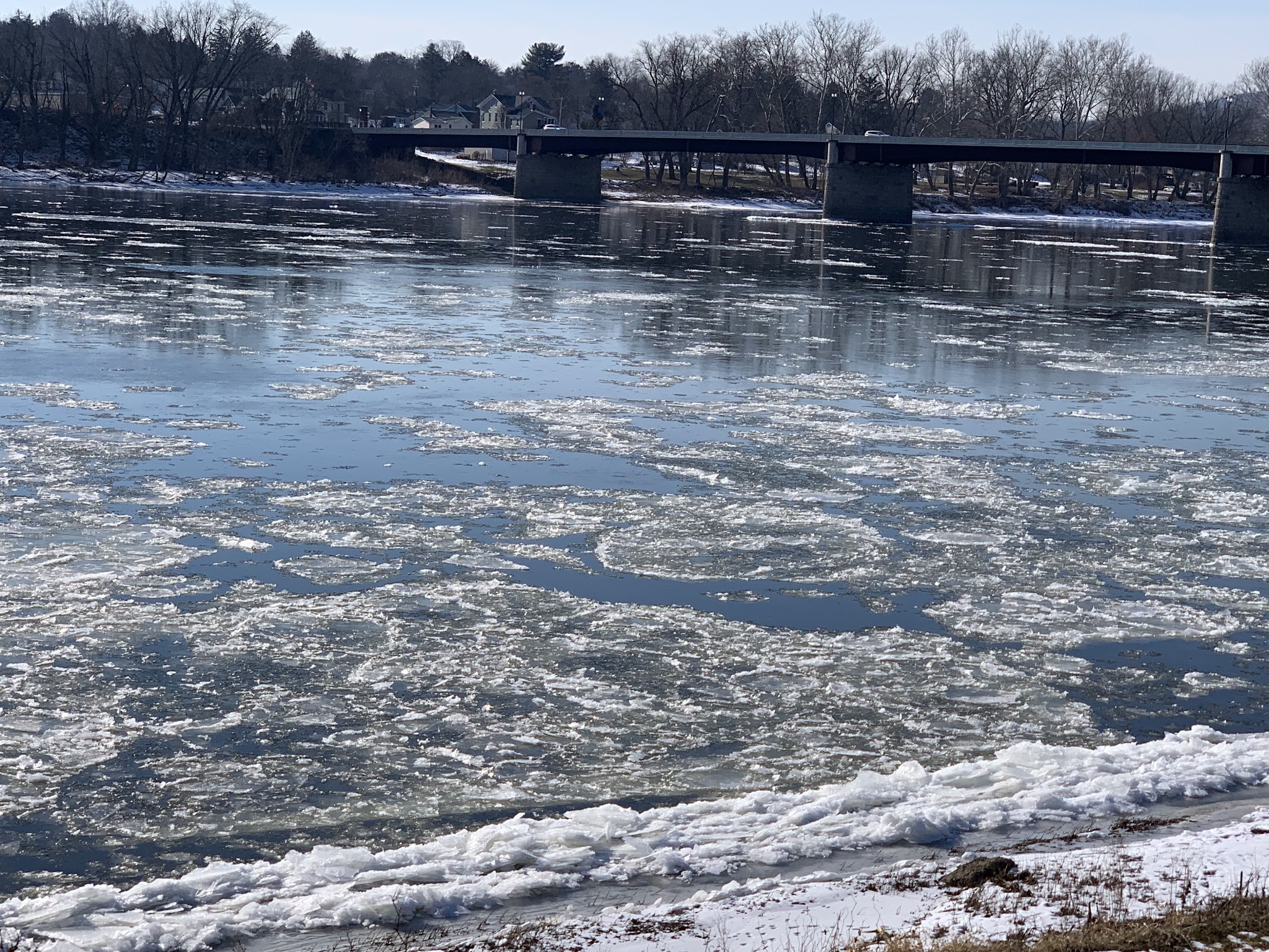Montgomery Park - Danville, PA