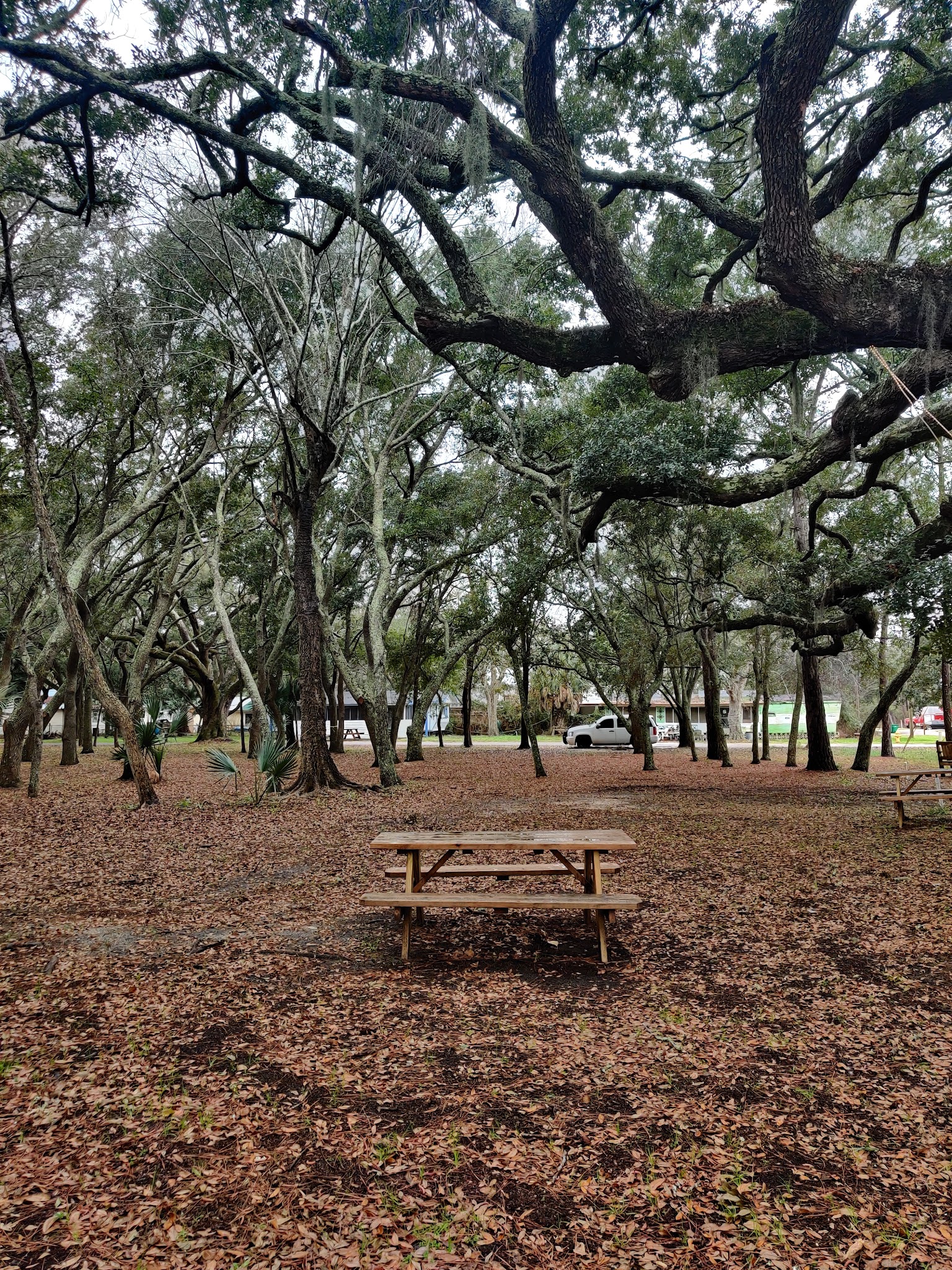 Green Park - Dauphin Island, AL