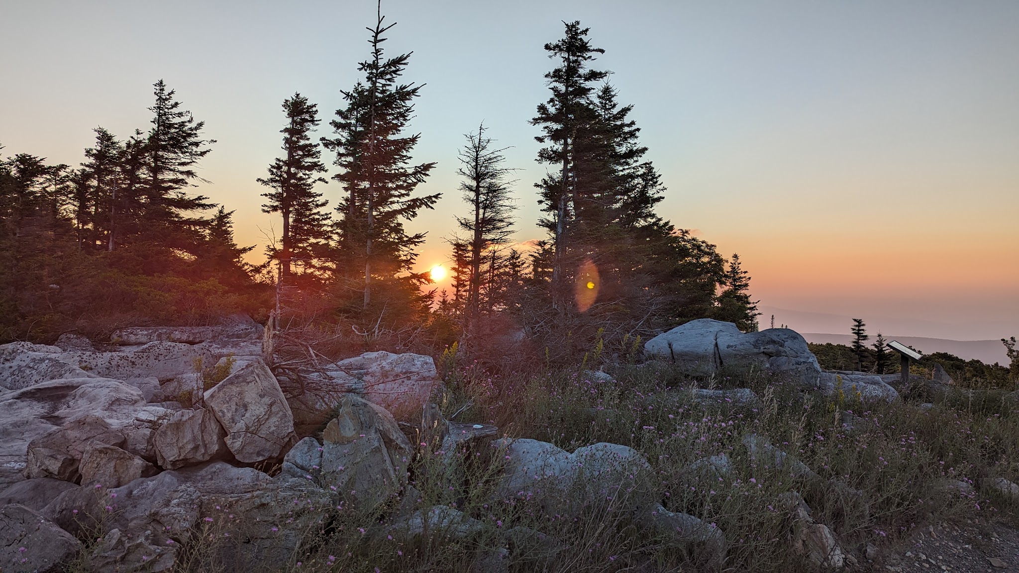Bear Rocks Preserve - Davis, WV
