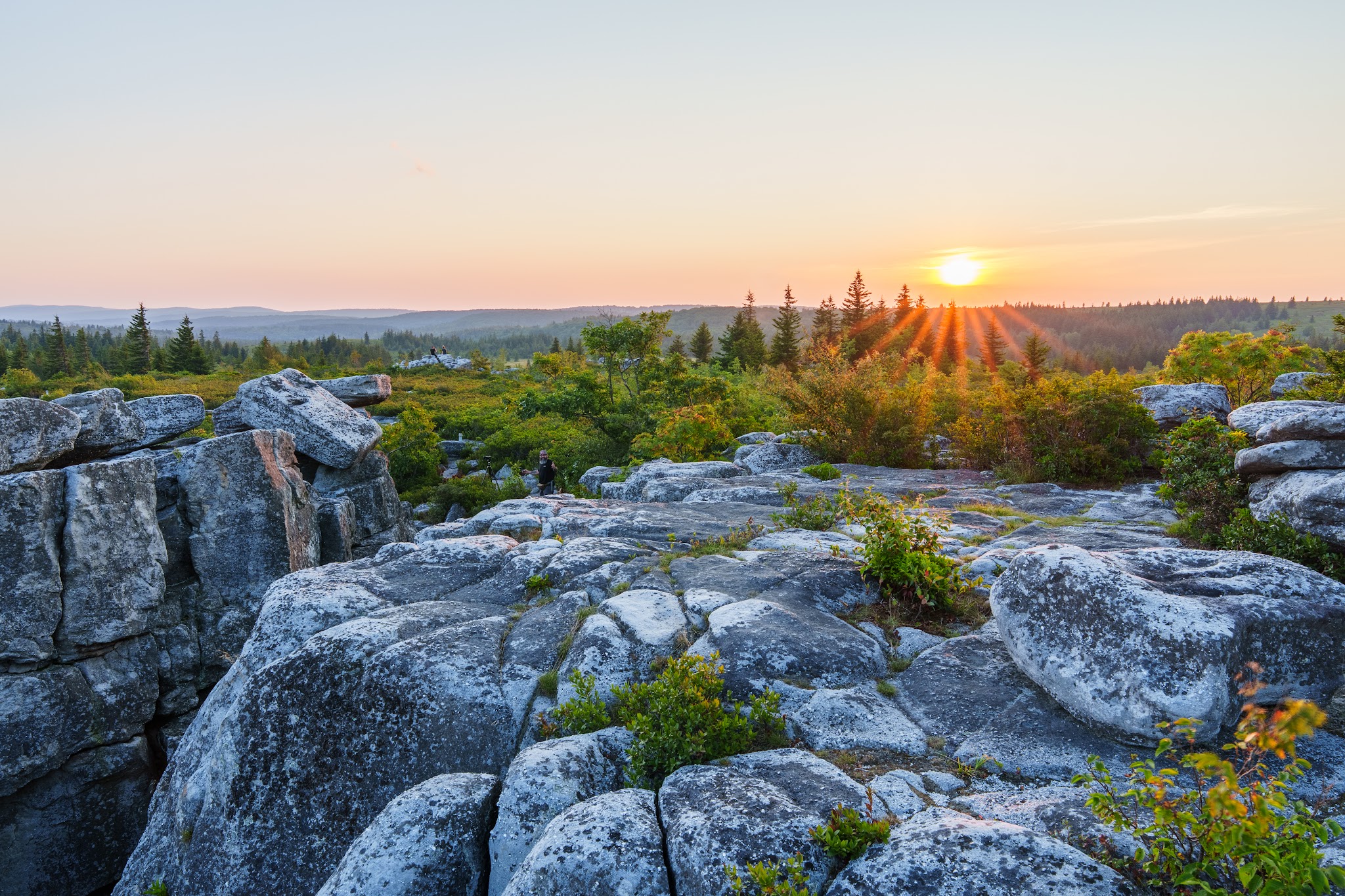 Bear Rocks Preserve - Davis, WV