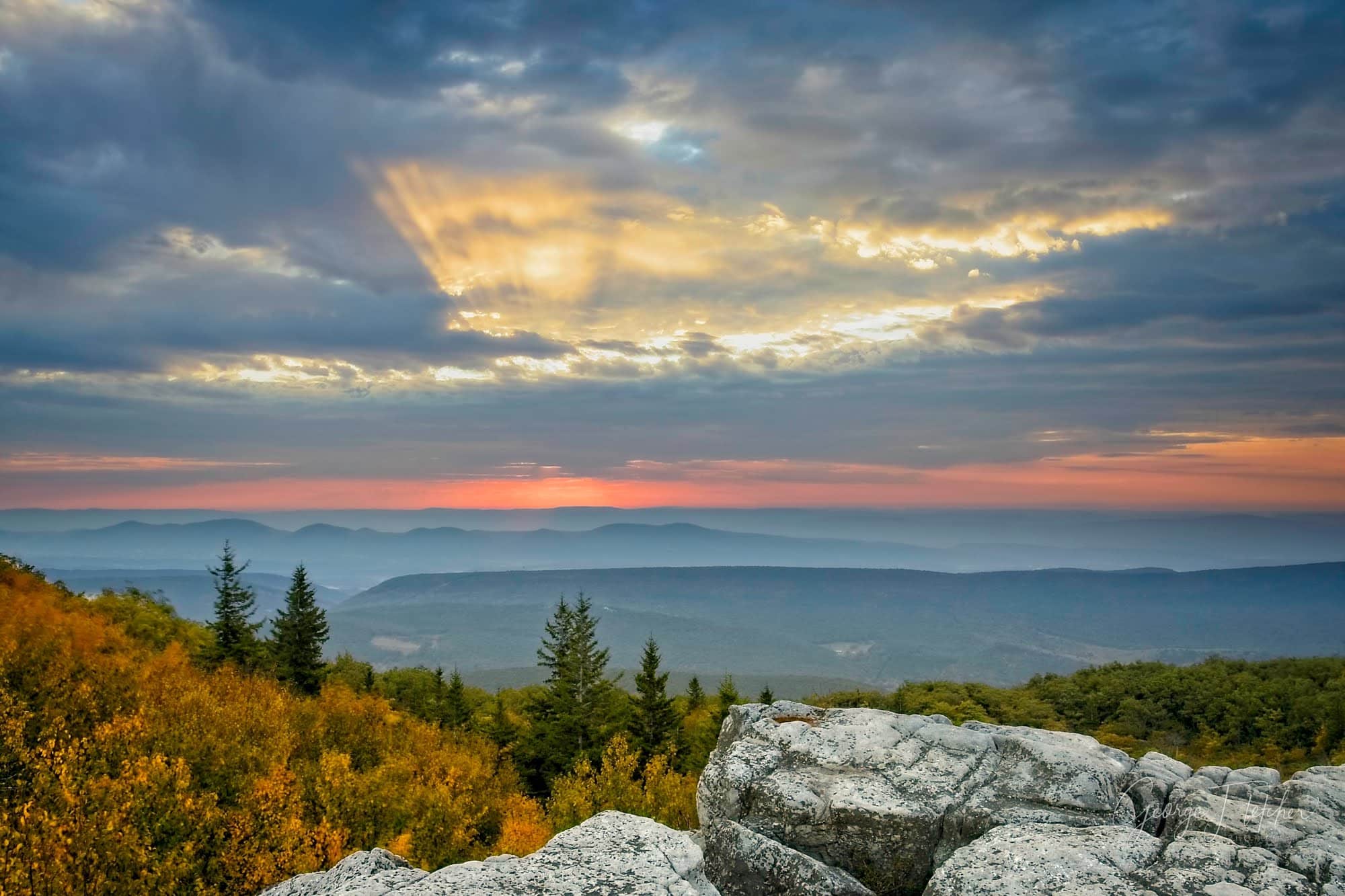 Bear Rocks Preserve - Davis, WV