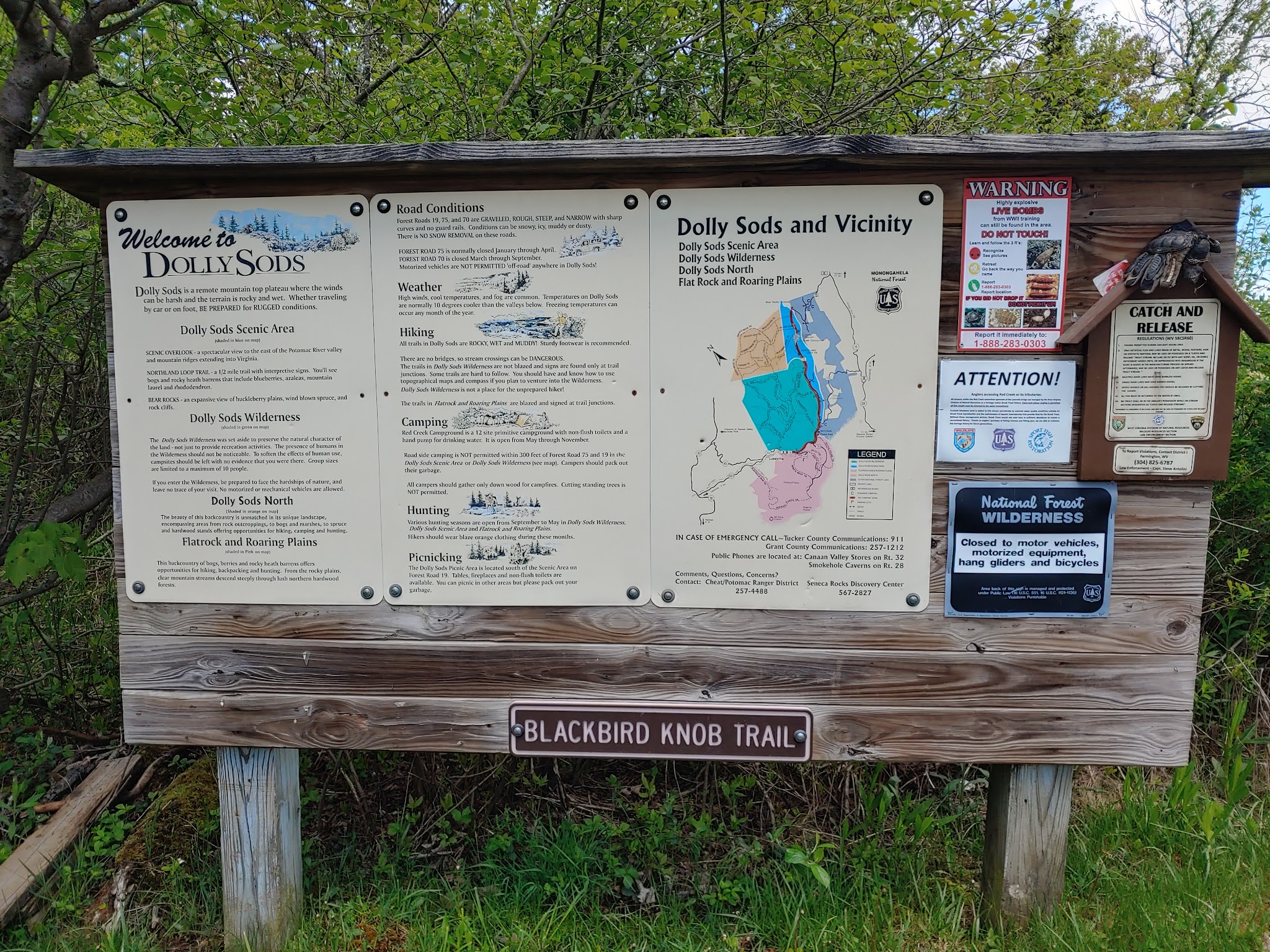 Blackbird Knob Trailhead - Davis, WV