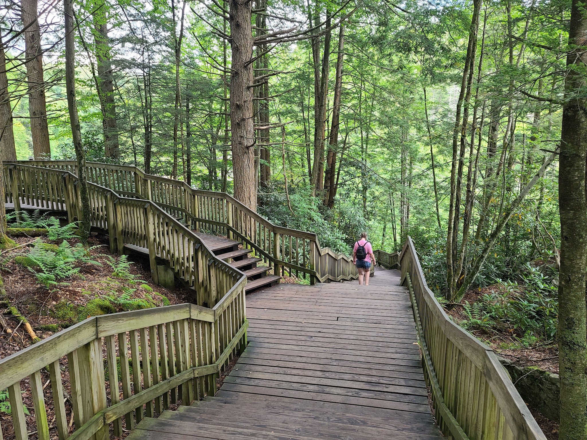 Blackwater Falls Boardwalk - Davis, WV