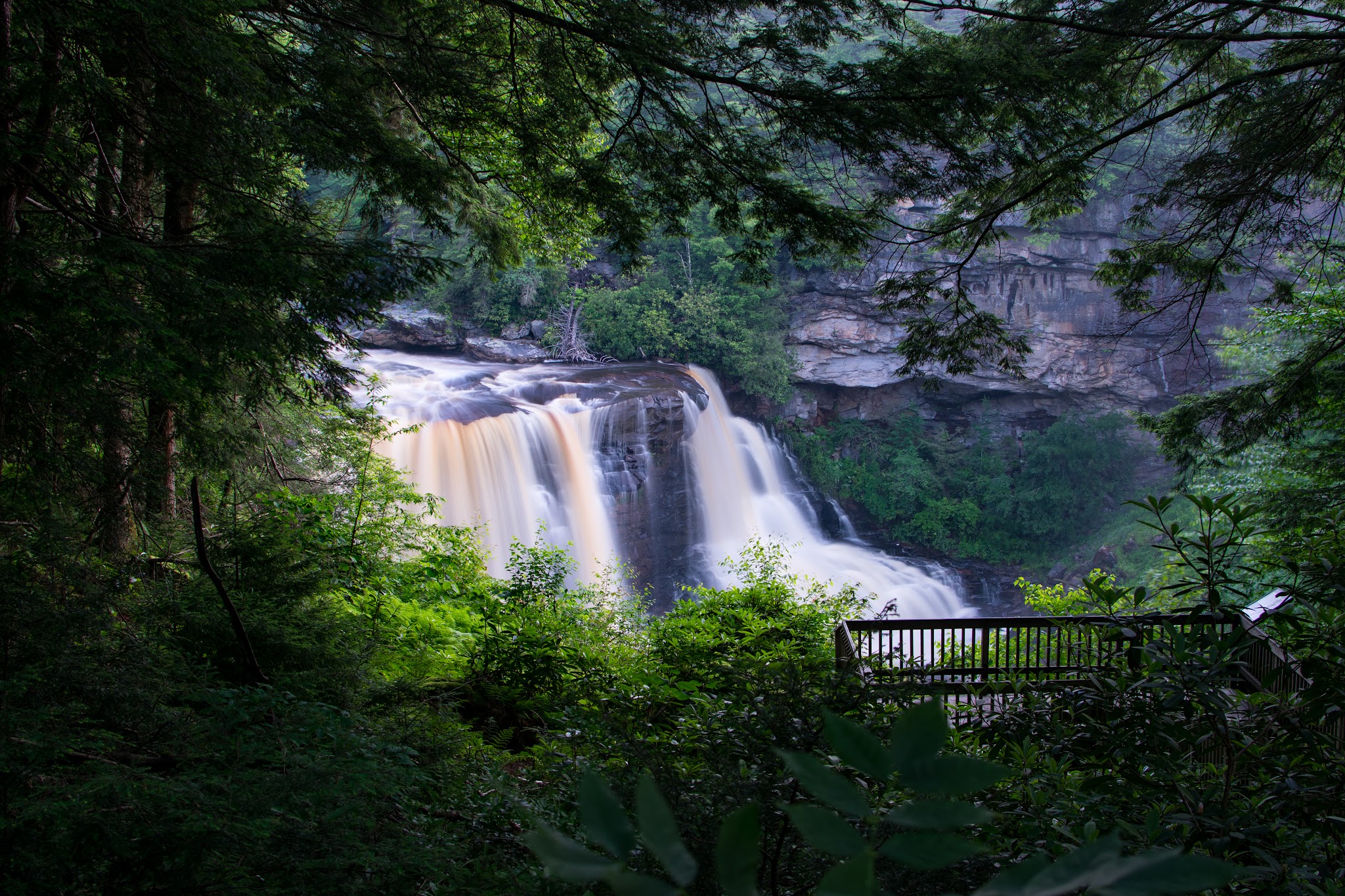 Blackwater Falls Boardwalk - Davis, WV