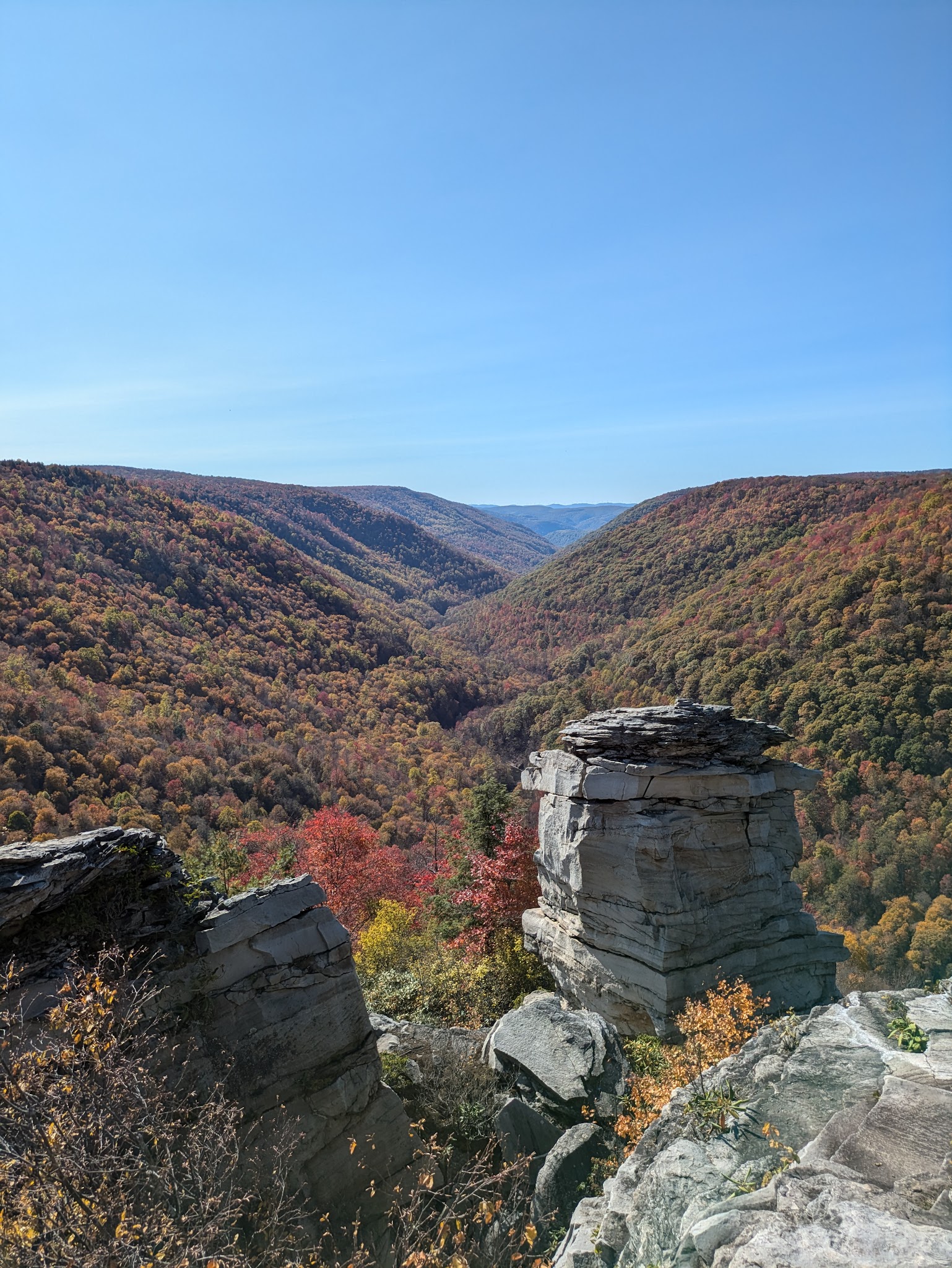 Blackwater Falls Campground - Davis, WV