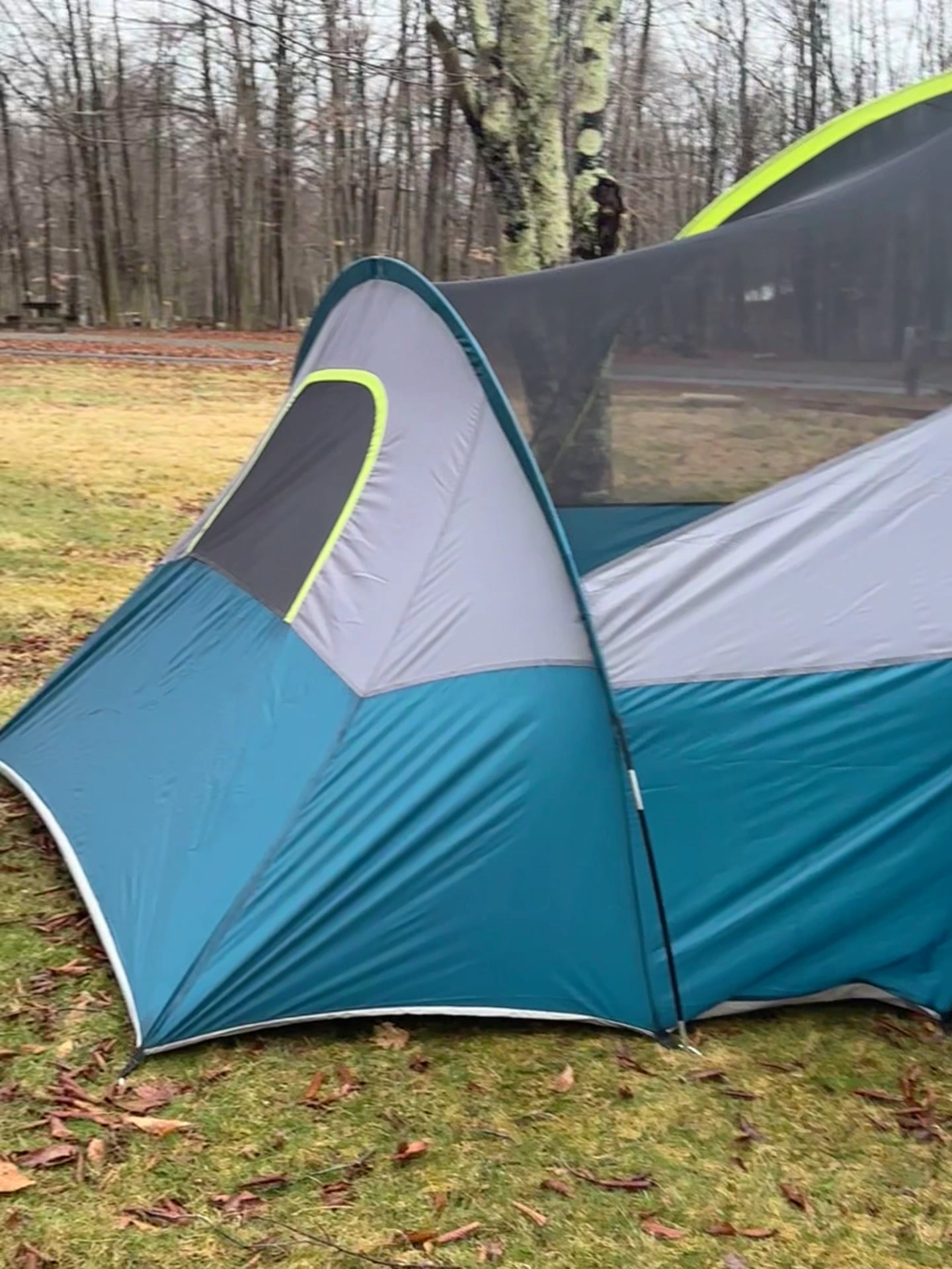 Blackwater Falls Campground - Davis, WV