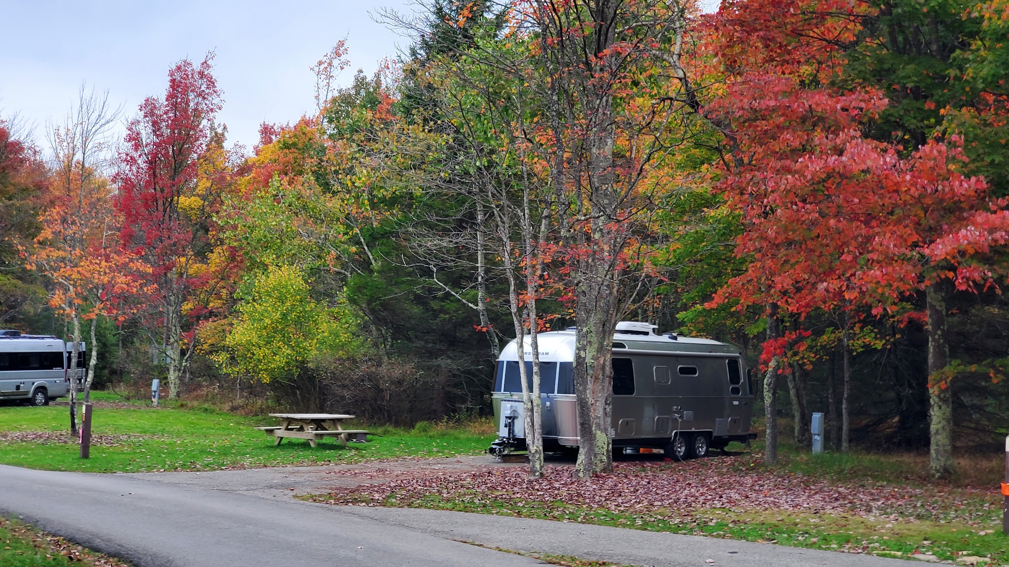 Blackwater Falls Campground - Davis, WV