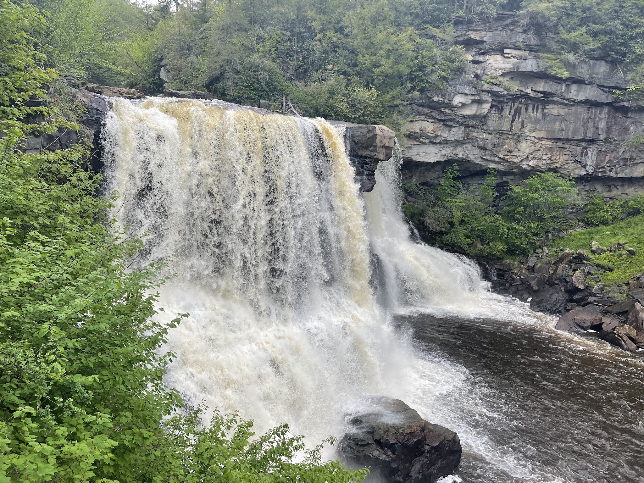Blackwater Falls Campground - Davis, WV