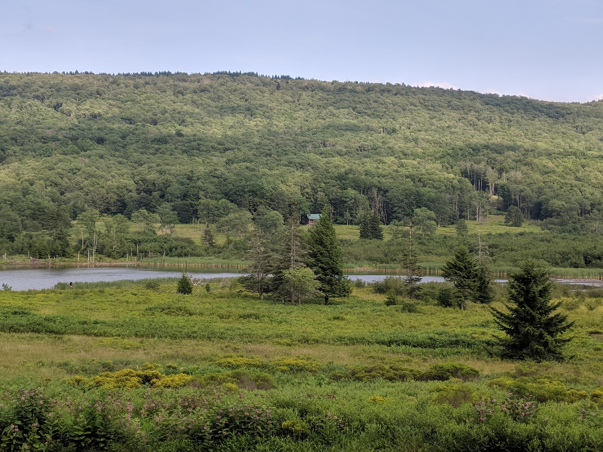 Canaan Valley National Wildlife Refuge - Davis, WV