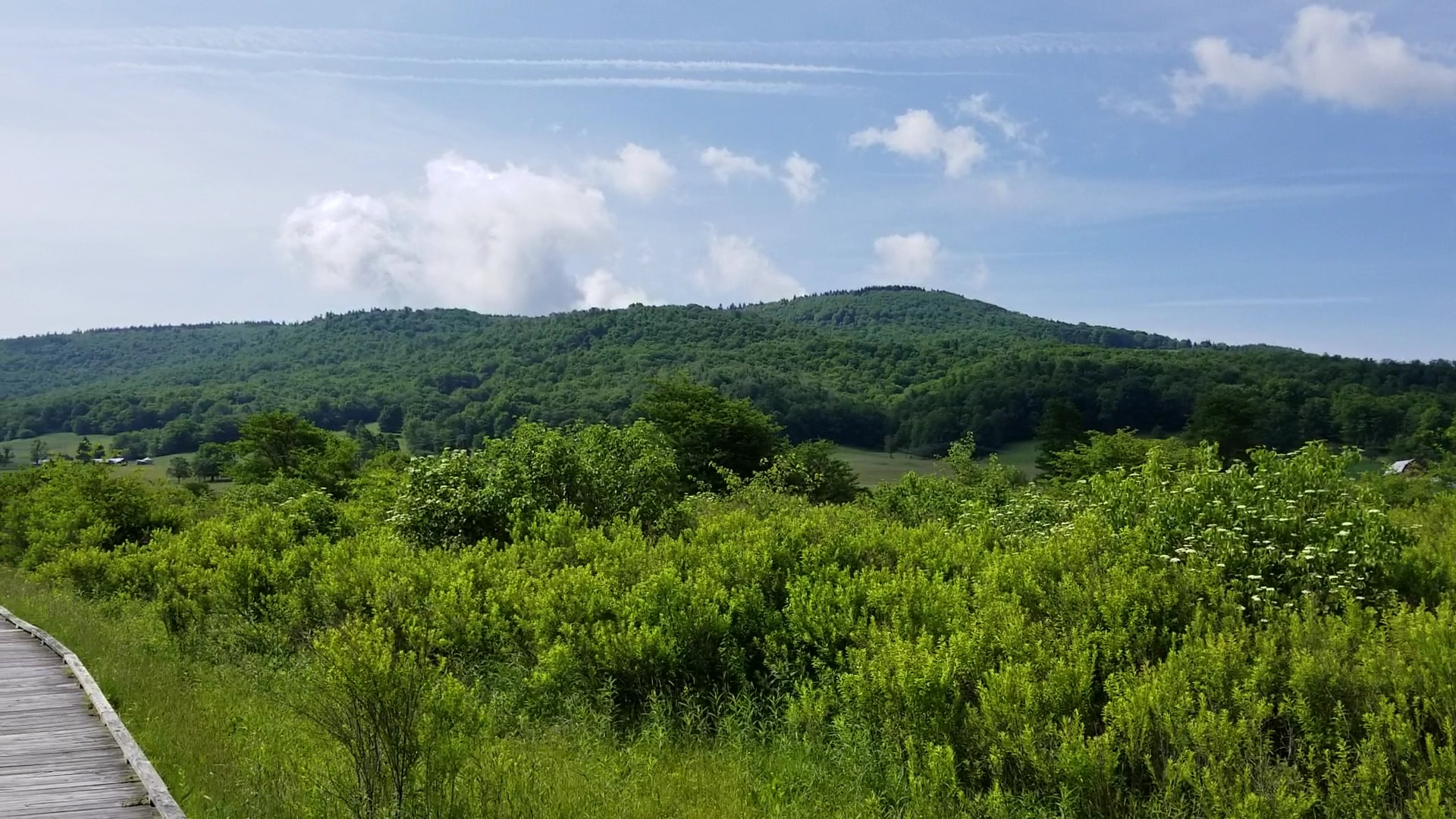Canaan Valley National Wildlife Refuge - Davis, WV