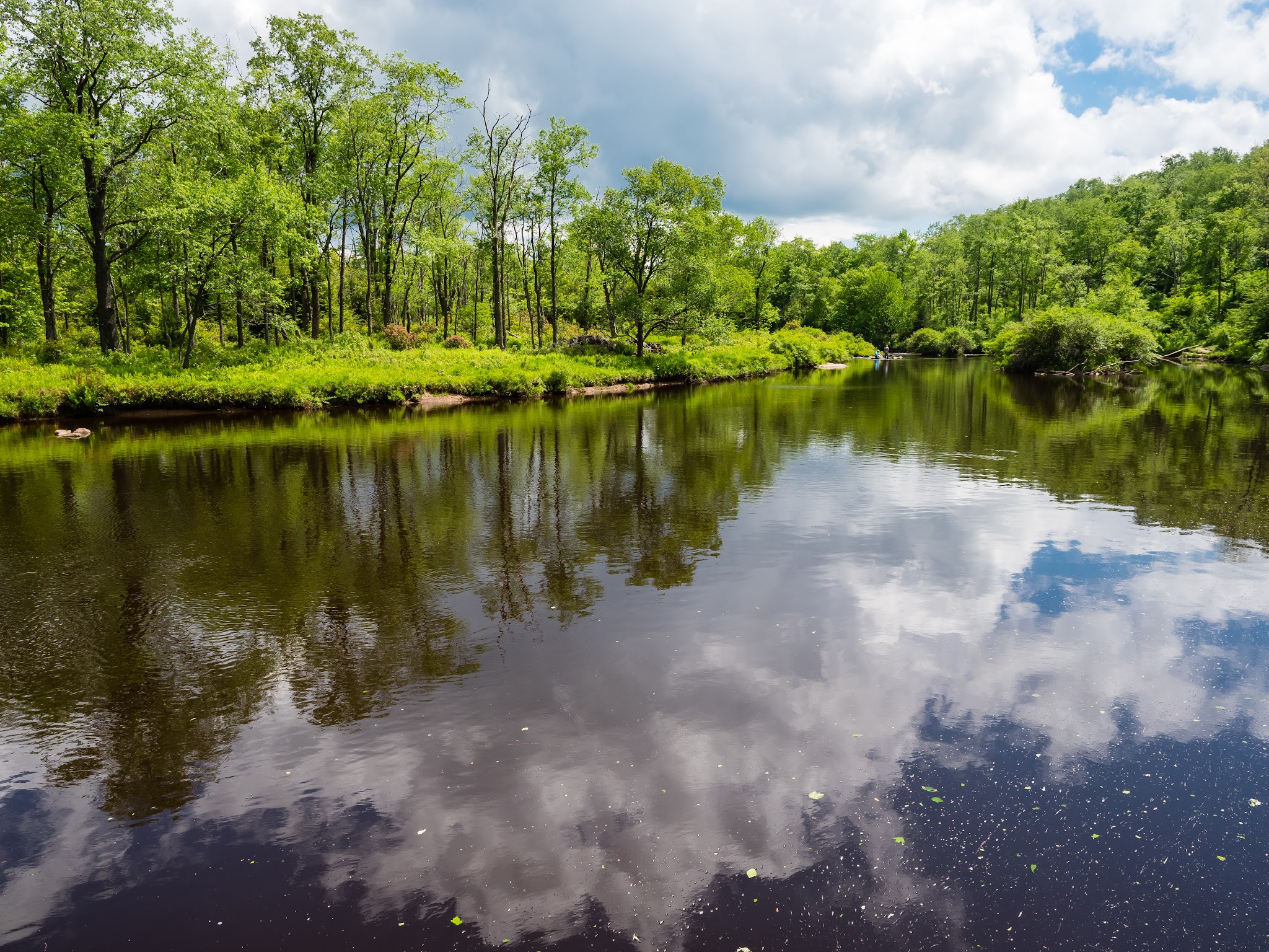 Canaan Valley National Wildlife Refuge - Davis, WV