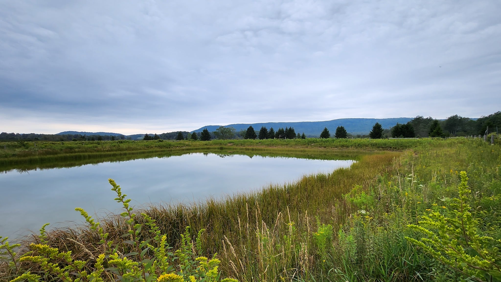 Canaan Valley National Wildlife Refuge - Davis, WV