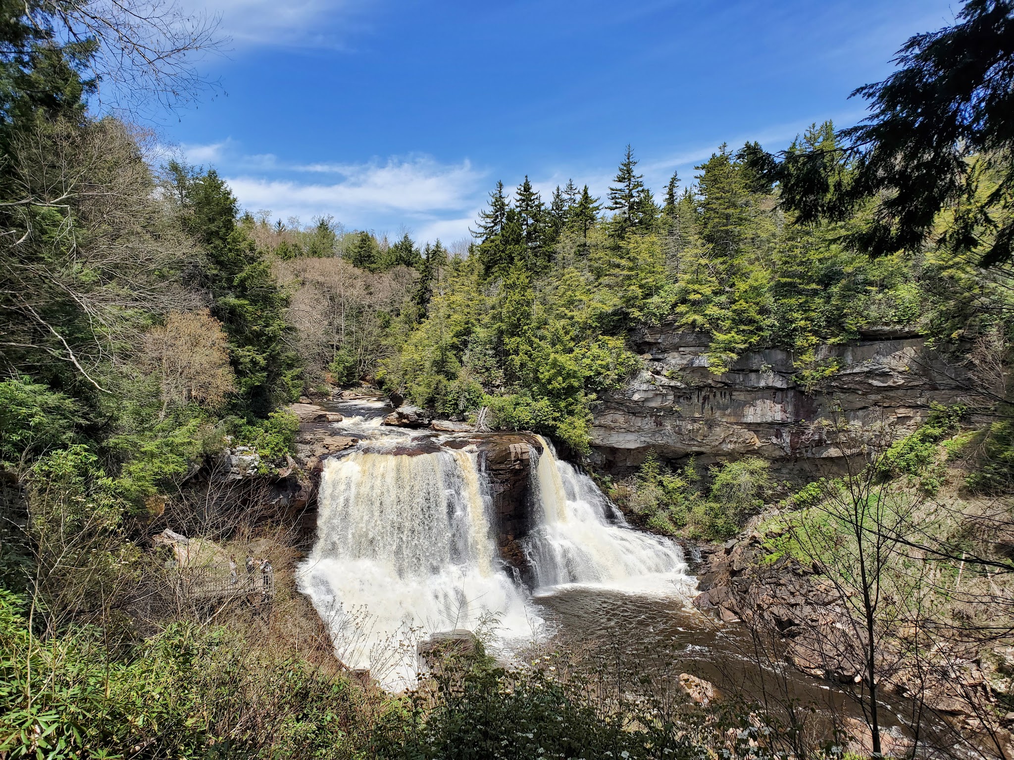 Elakala Trail - Davis, WV