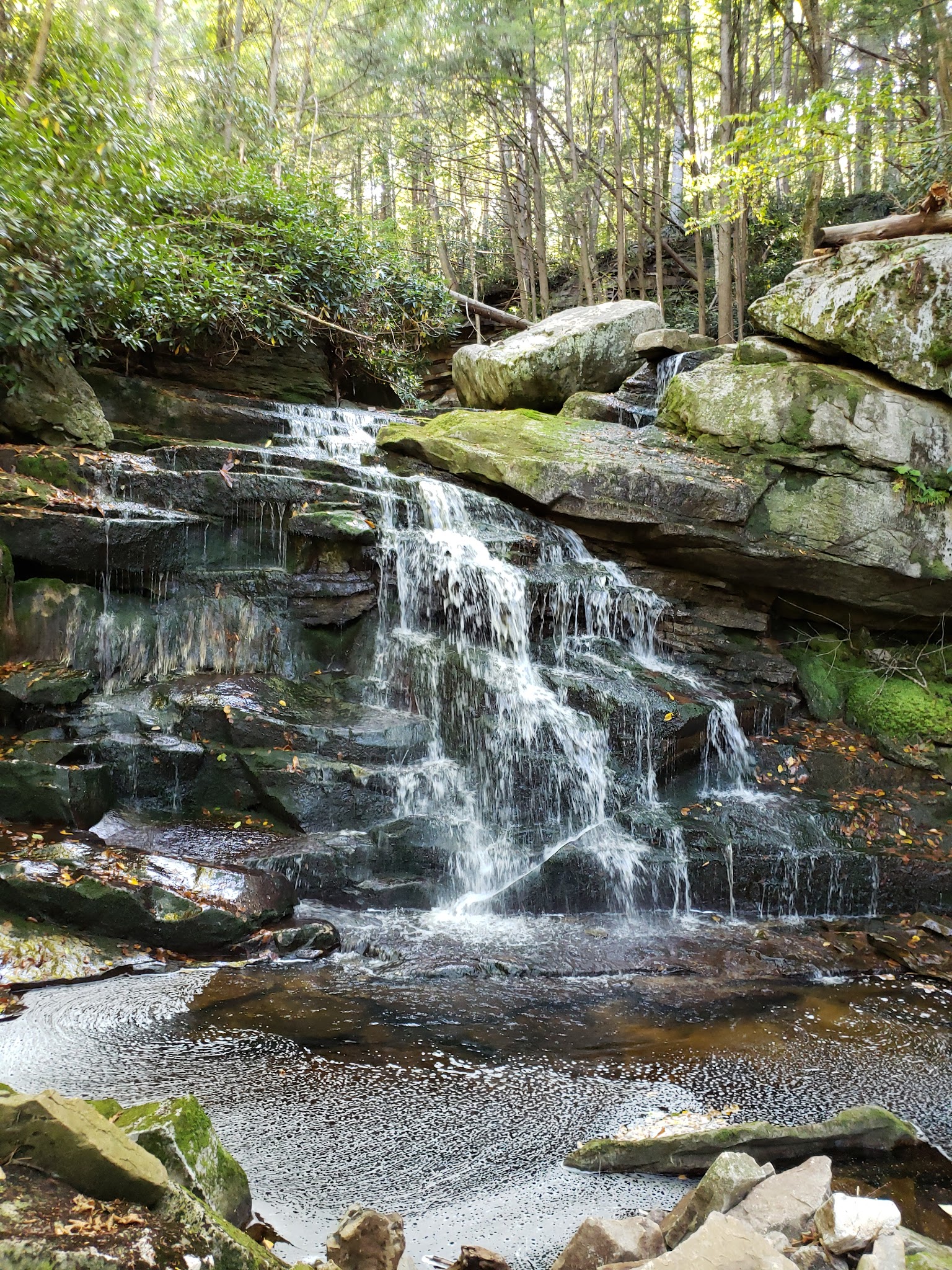 Elakala Trail - Davis, WV