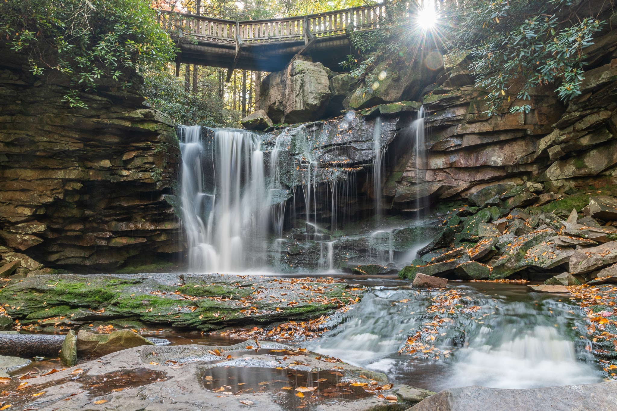 Elakala Trail - Davis, WV