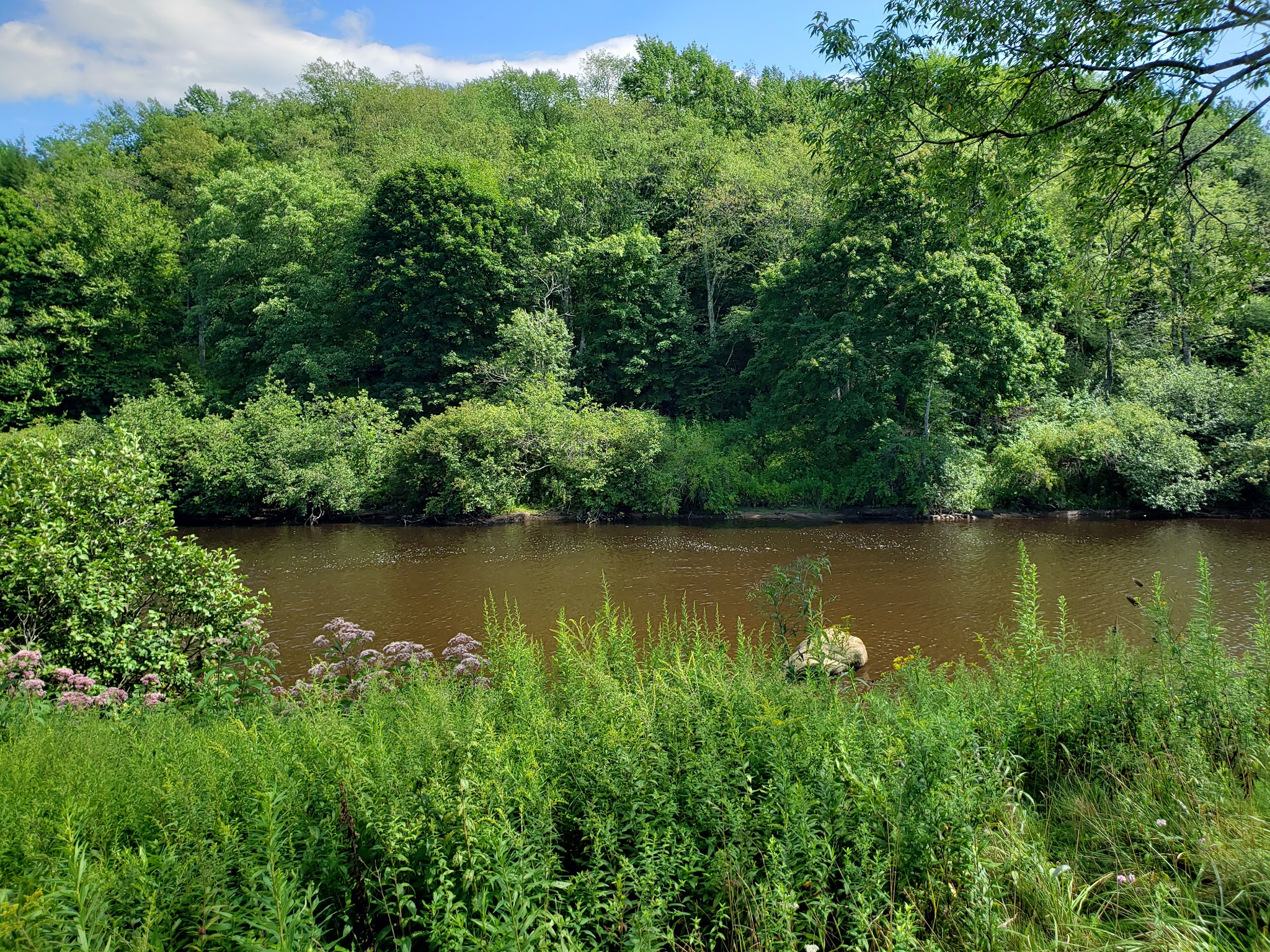 Town of Davis Riverfront Park - Davis, WV