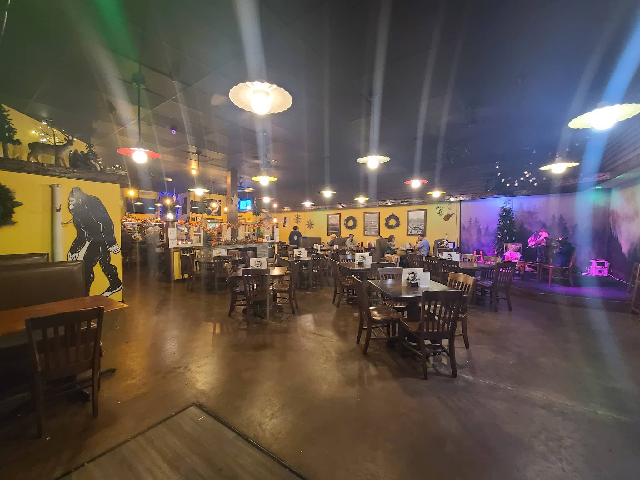 Wicked Wilderness Pub - Davis, WV