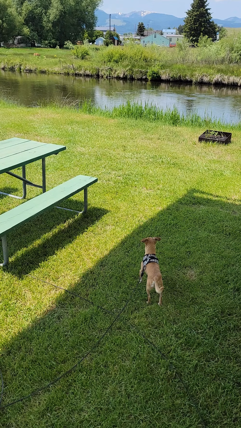 Deer Lodge A-OK Campground and RV Site - Deer Lodge, MT