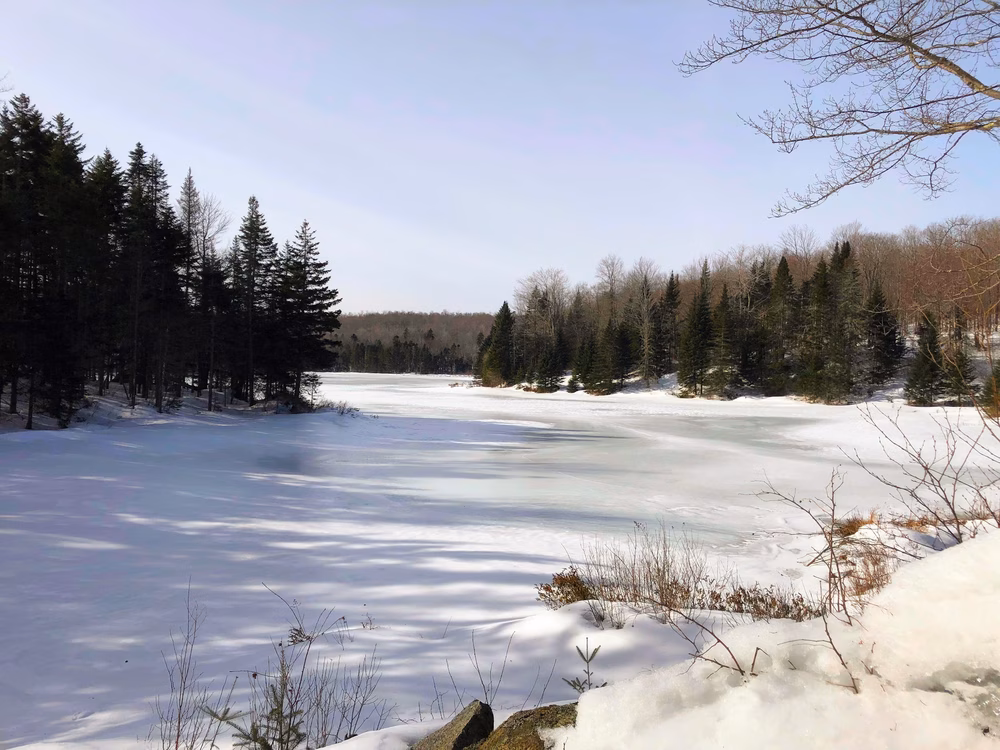 Green Woodlands Foundation - Dorchester, NH