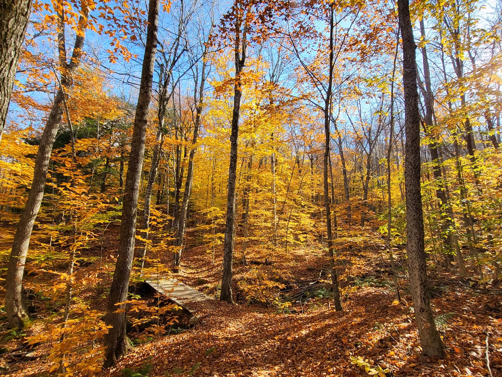 Green Woodlands Foundation - Dorchester, NH