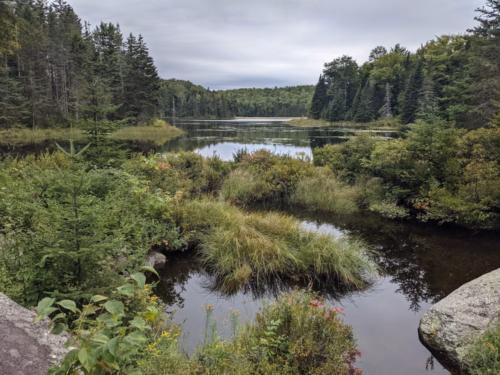 Green Woodlands Foundation - Dorchester, NH